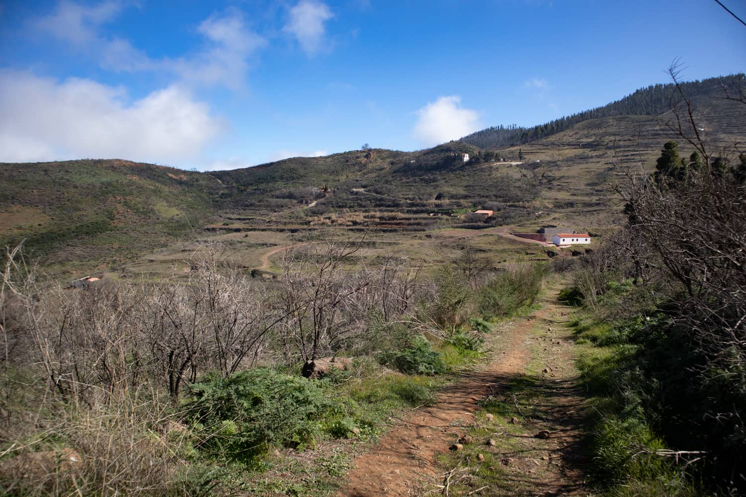 Hiking trail past terraced fields