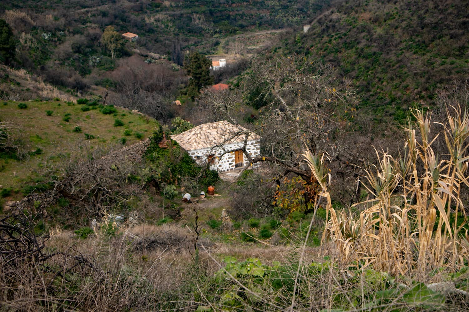 lonely houses along the way