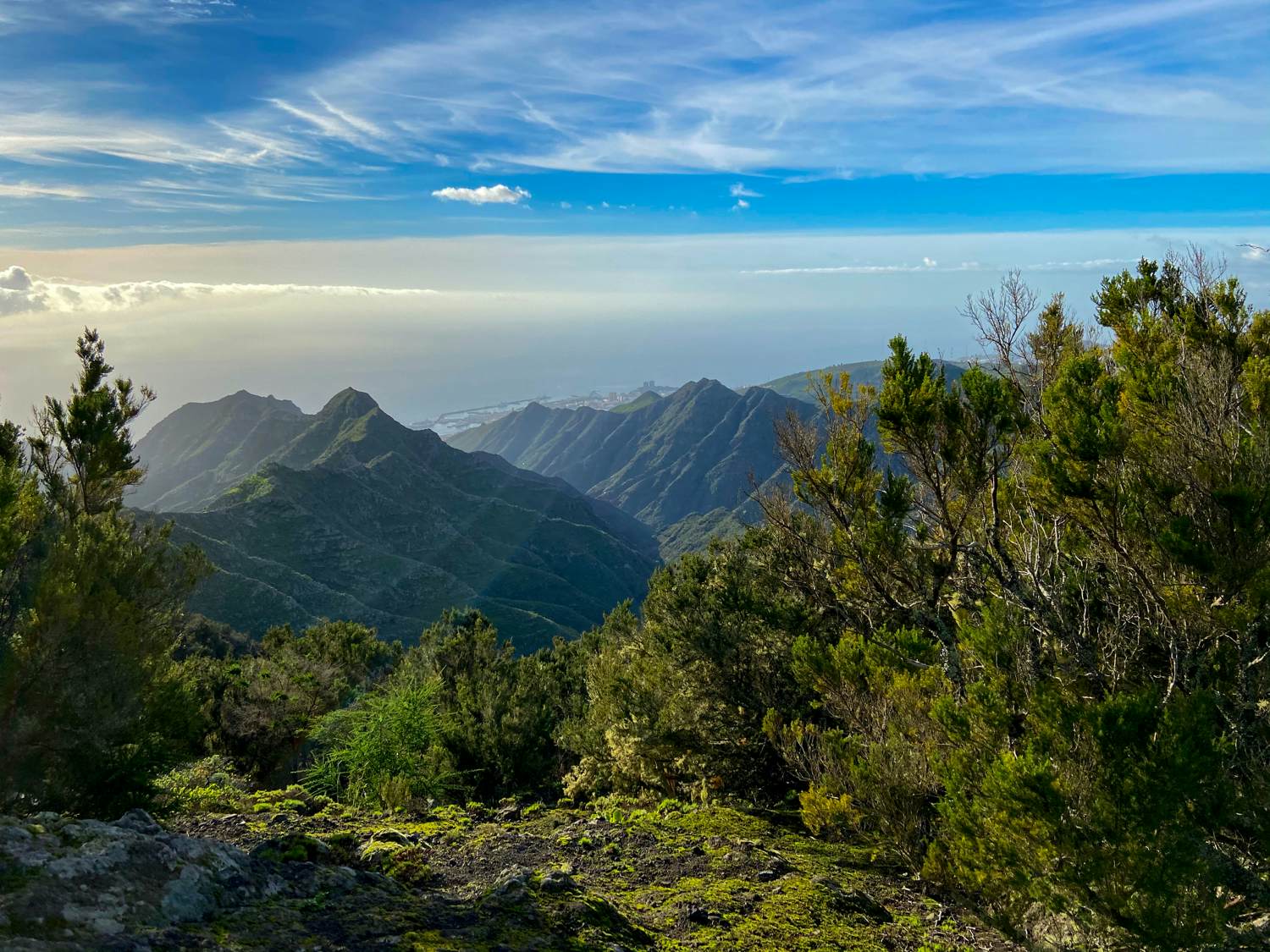 Vista desde el Pico del Inglés sobre las alturas y los valles hasta la costa de Santa Cruz de Tenerife