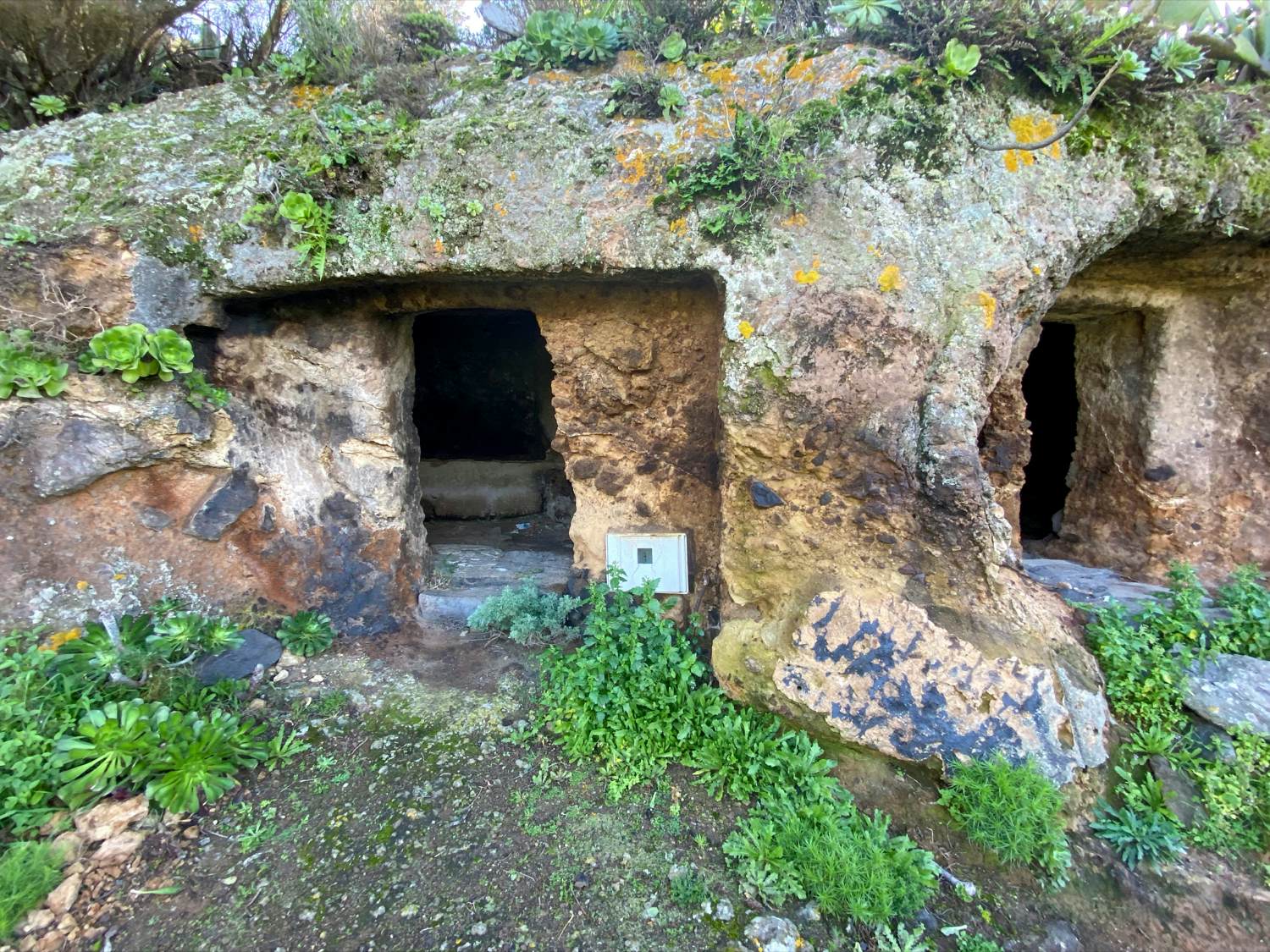 Cave stables at the Los Berros homestead