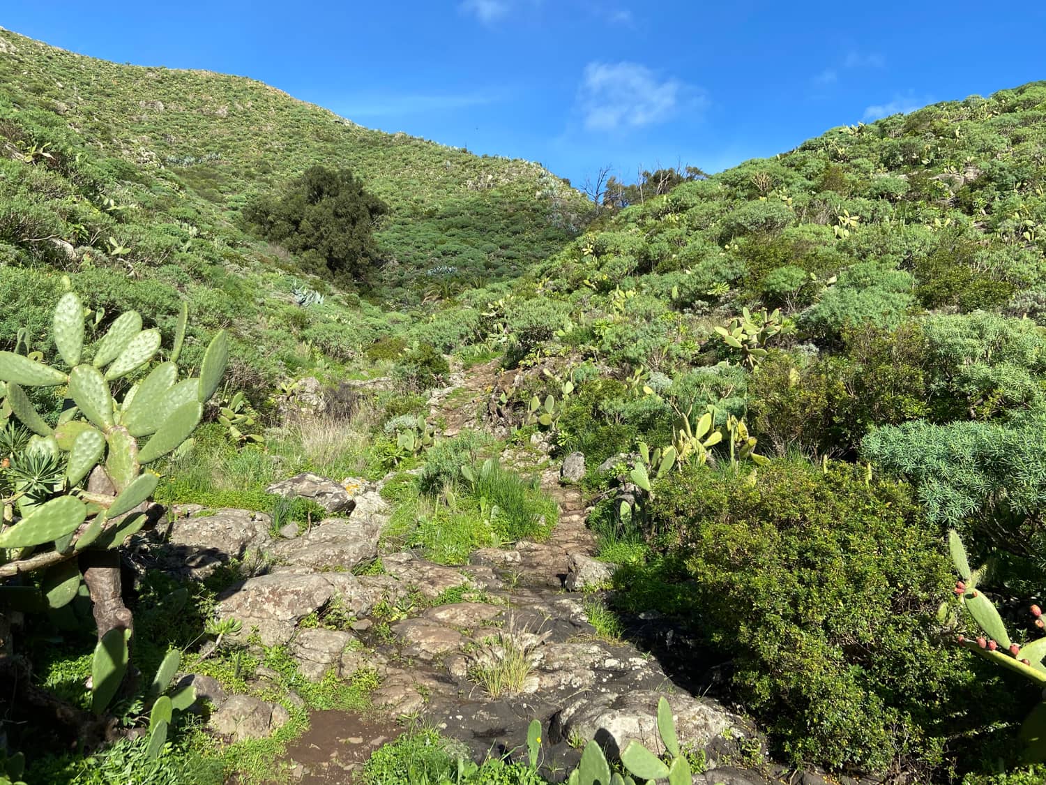 Wanderweg hinab in das Valle Seco