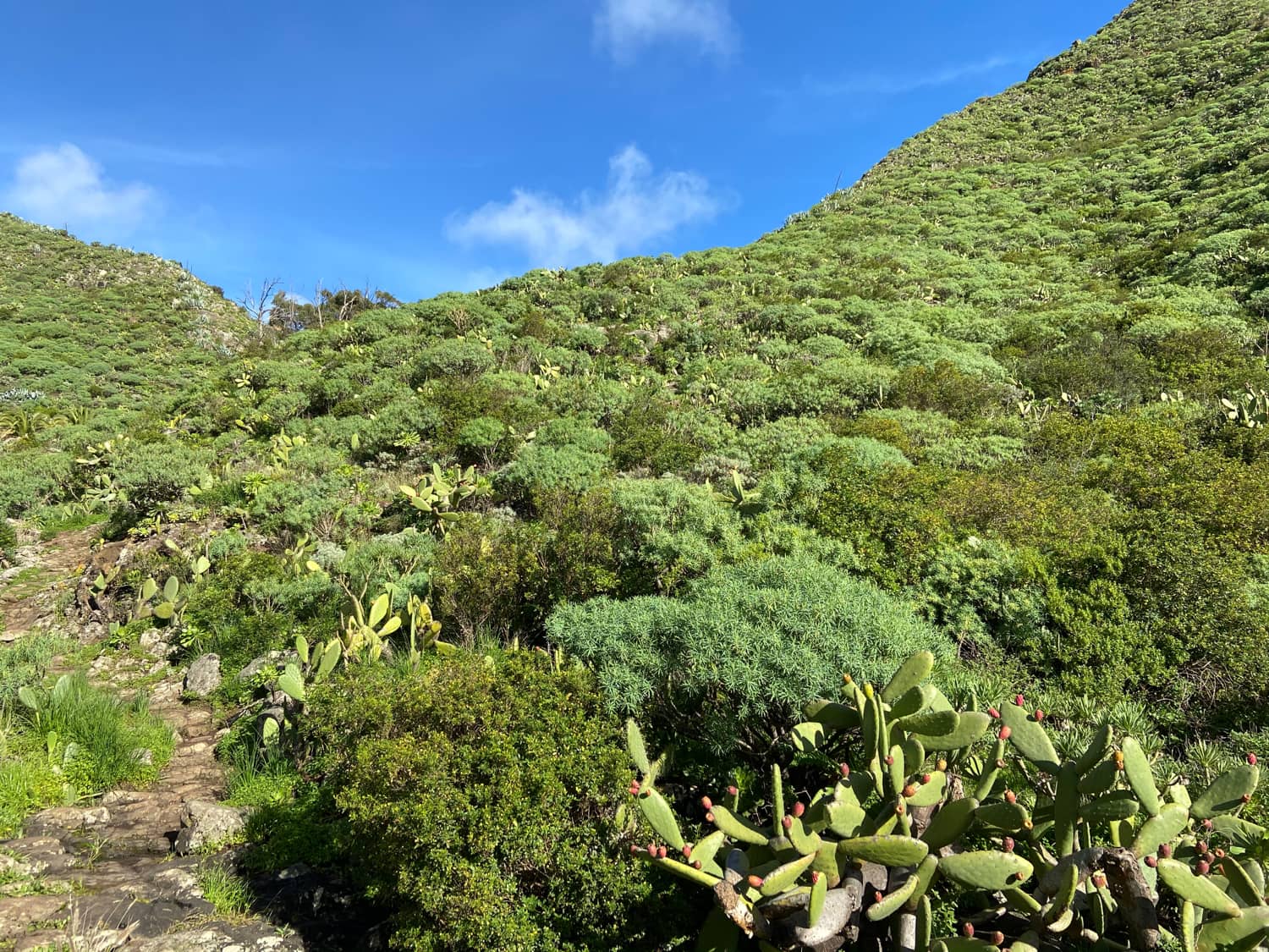 Hiking trail in the Valle Seco