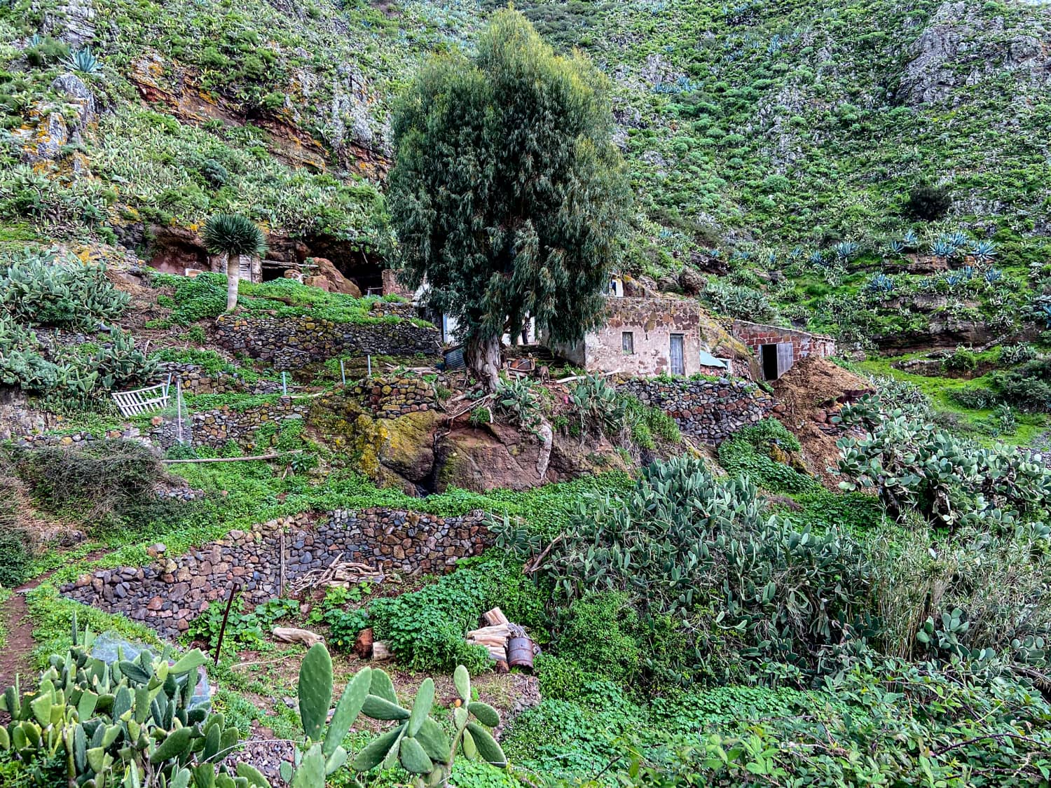 the lonely farmstead El Chorro