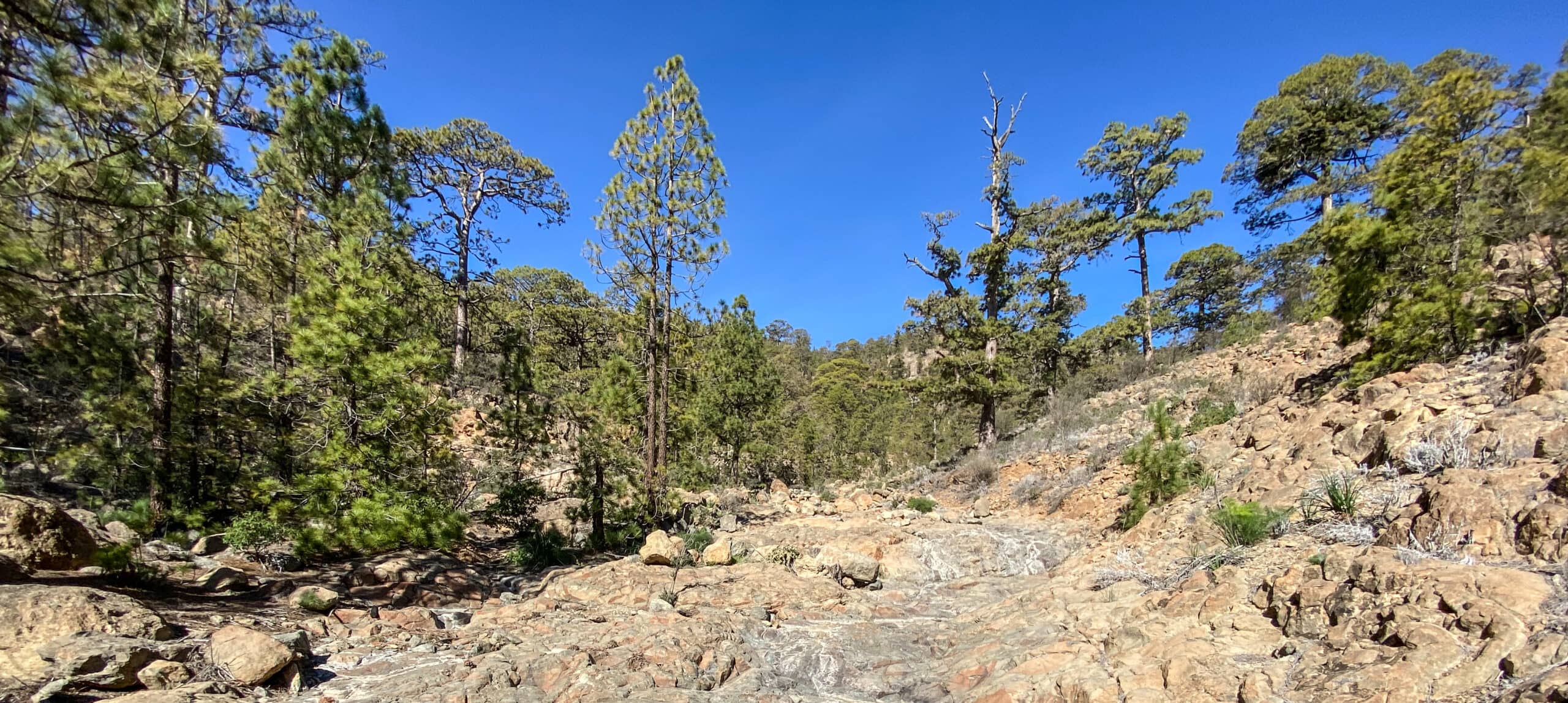 Barranco de las Vegas in the upper section