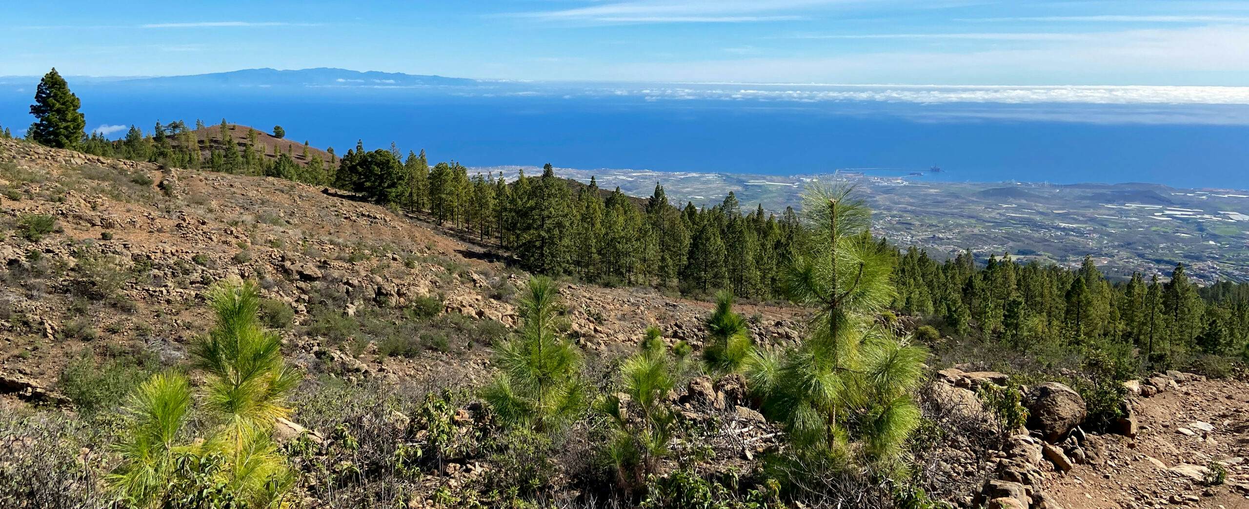 Blick auf Gran Canaria aus der Höhe