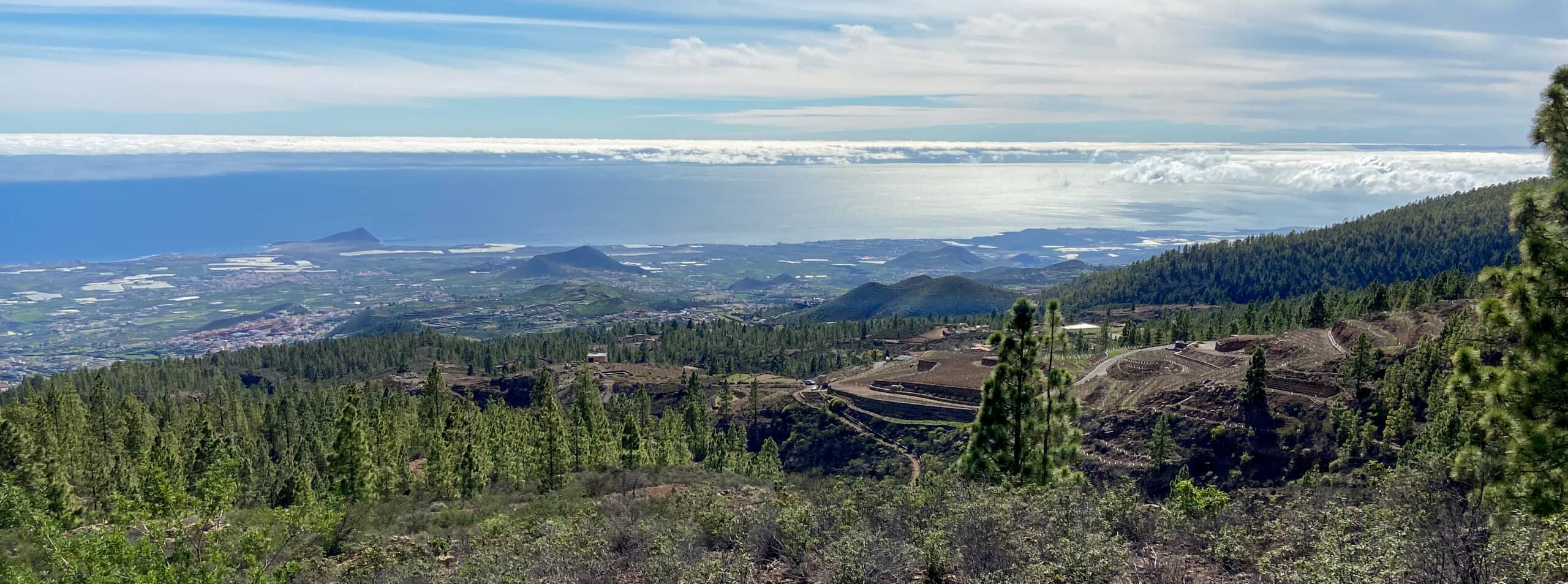 Blick über terrassierte Felder auf die Ostküste von Teneriffa