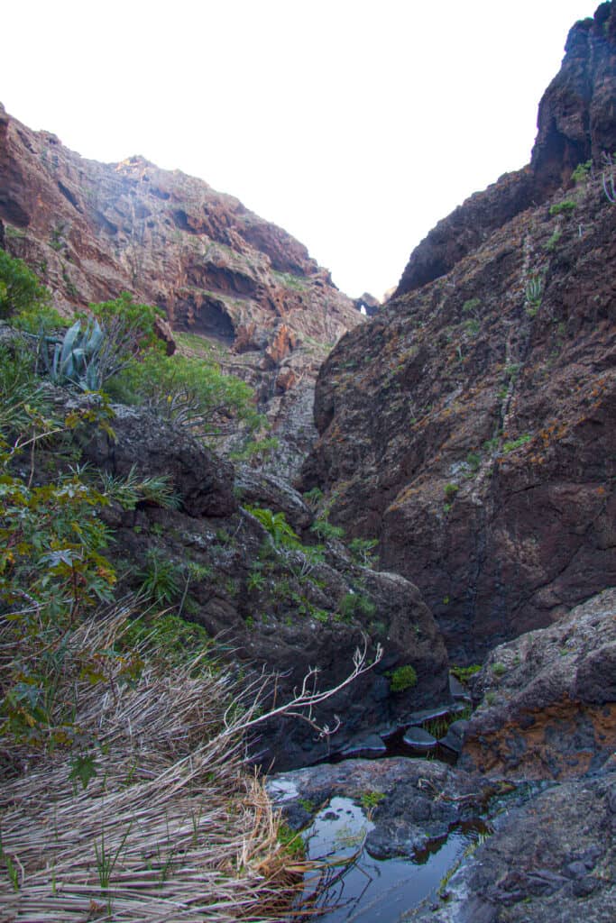 At the Barranco Carrizales waterfall