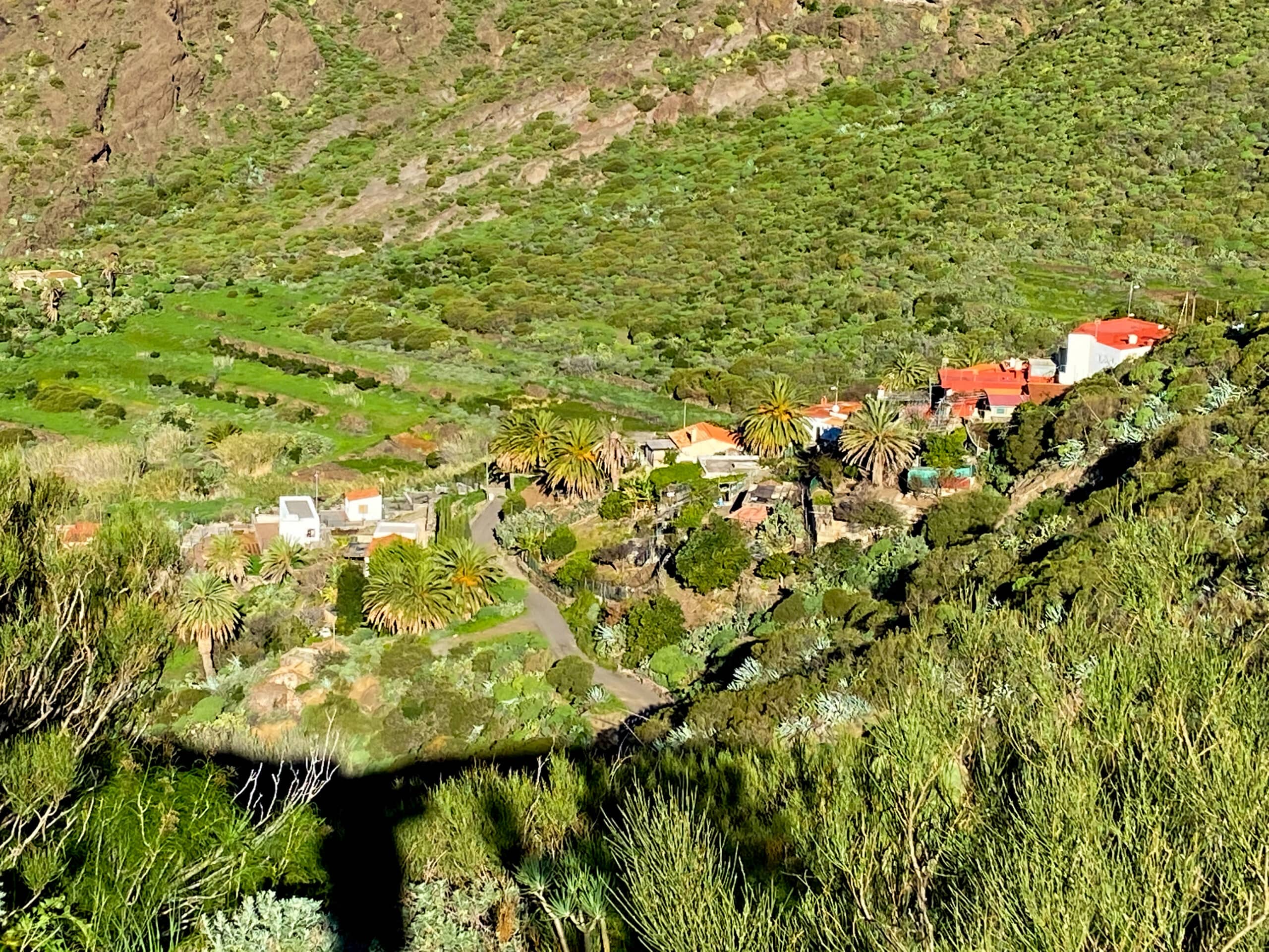 View of Los Carrizales Alto