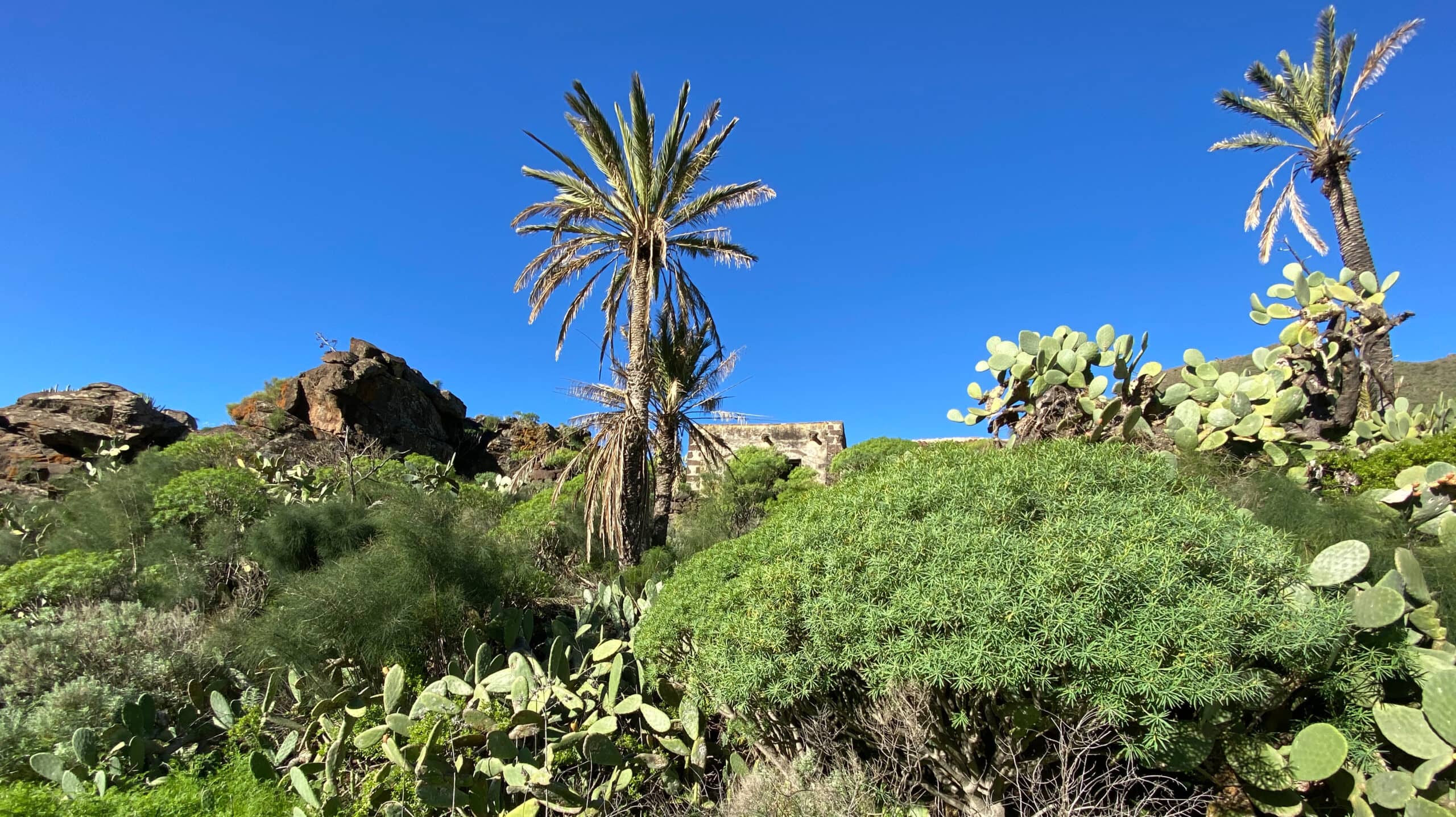 Camino en pendiente bajo una casa en ruinas en la primera meseta hacia Los Carrizales Bajo