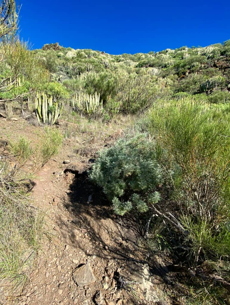 Ruta de senderismo por la cresta de Los Carrizales