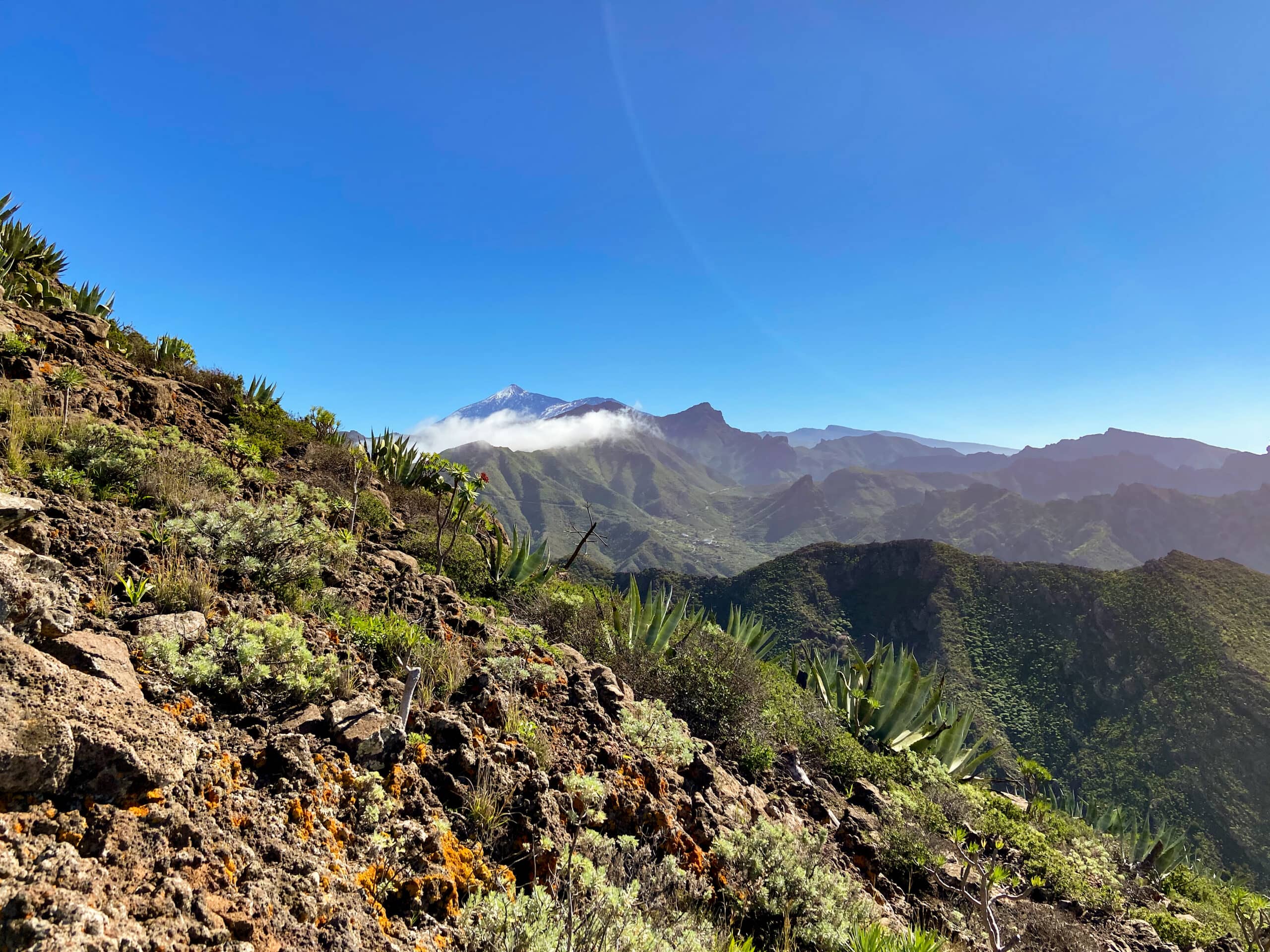 Blick auf den Teide