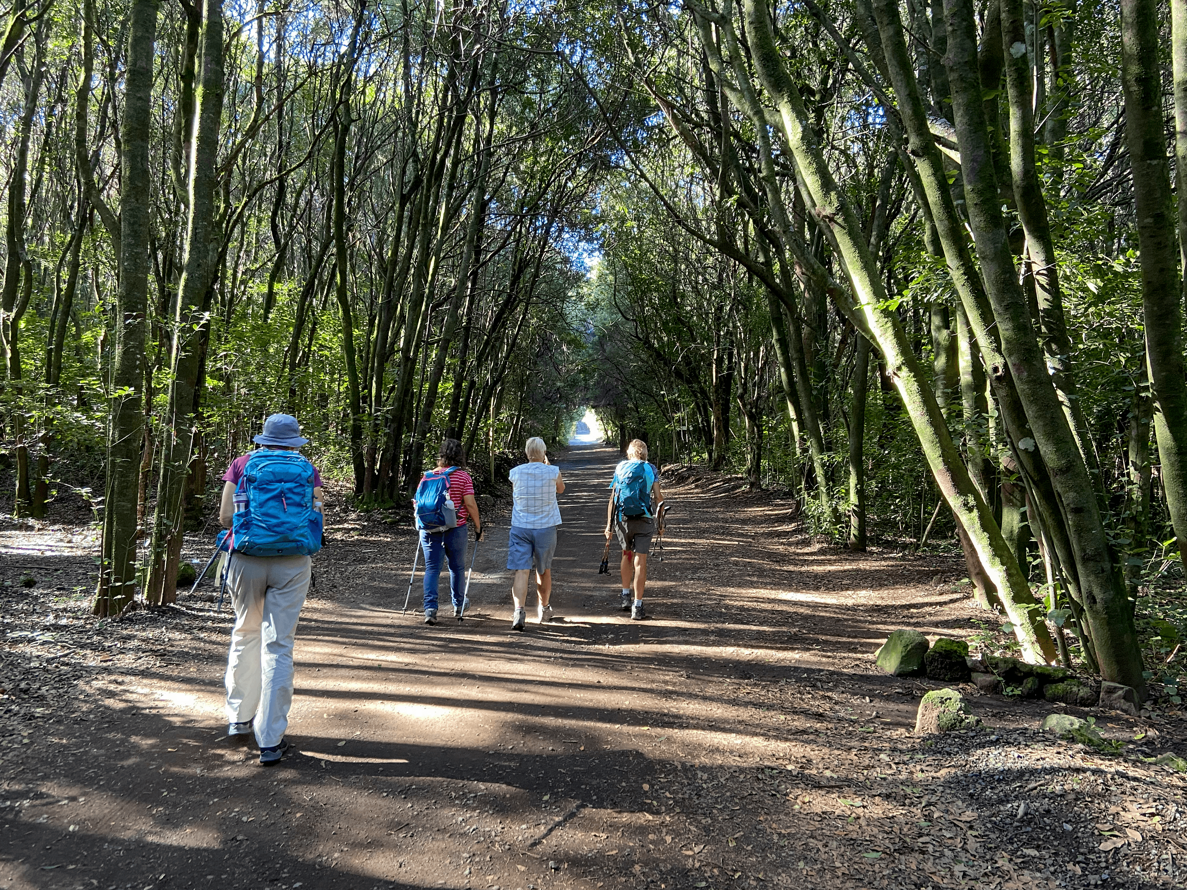 Wanderweg im Wanderinnen