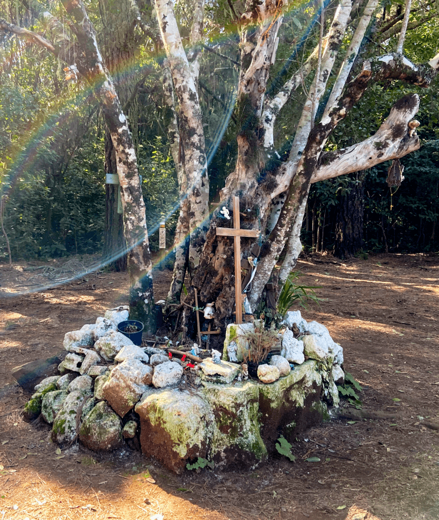 Pequeño monumento en el bosque