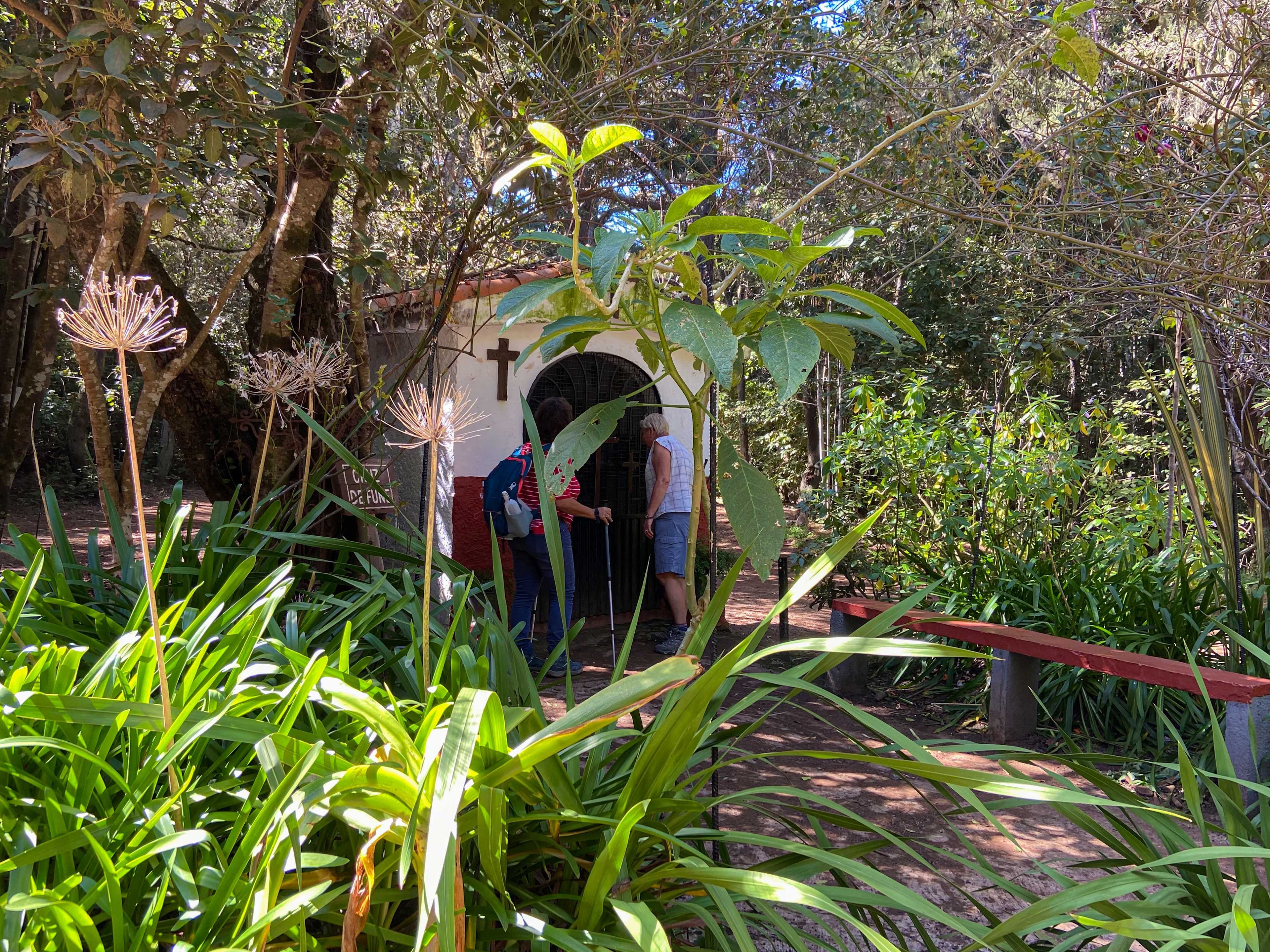 Pequeña capilla en la ruta de senderismo en el bosque de hoja perenne