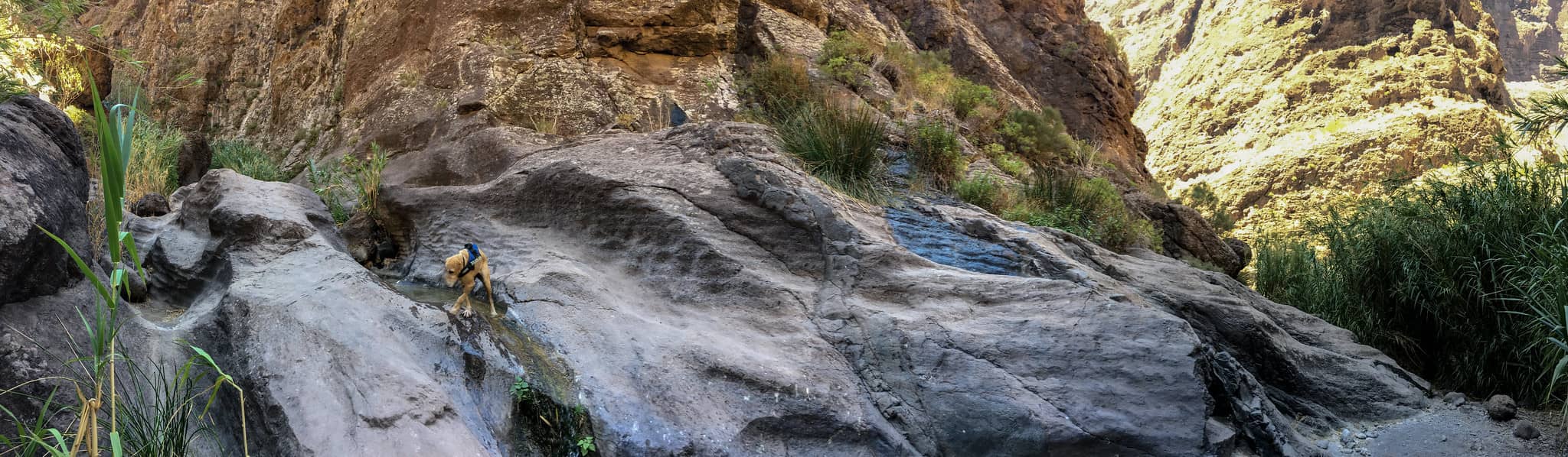 bald ist wandern in der Masca Schlucht wieder möglich