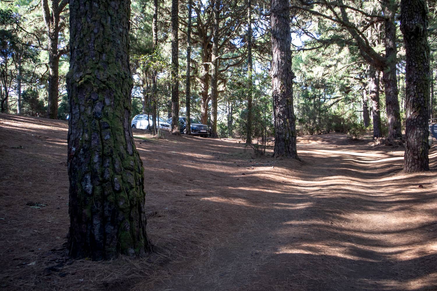 Car park - starting point of the circular walk (south) Las Raíces