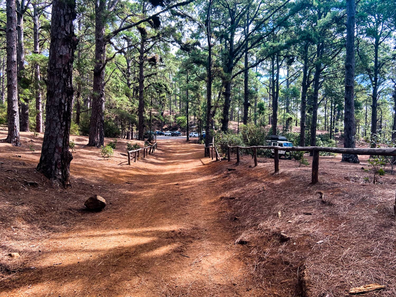 Hiking trail to the Las Raíces rest area