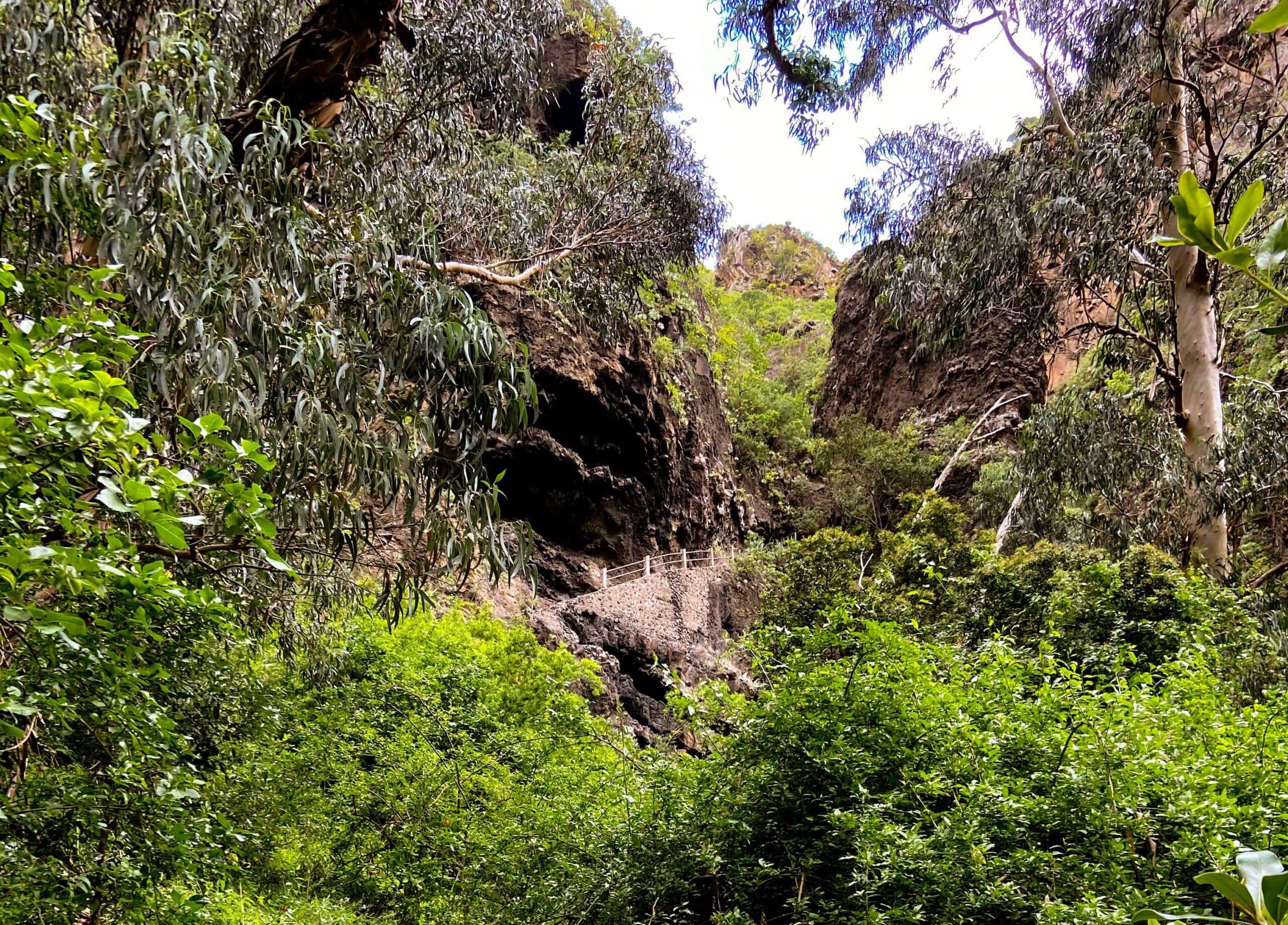 Small stairway to the right side of the hiking trail to Moradas Abajo