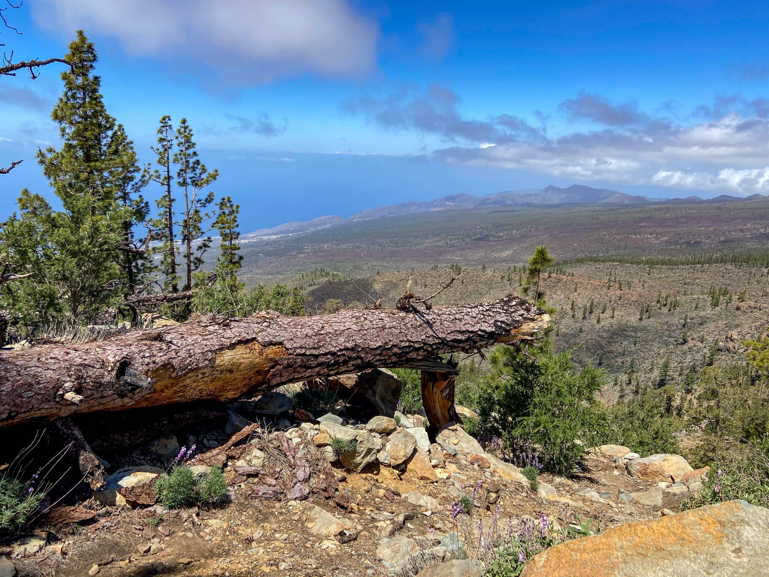 High above the Barranco de Tagara towards the fire watch tower - hiking trail with magnificent views towards the Teno Mountains