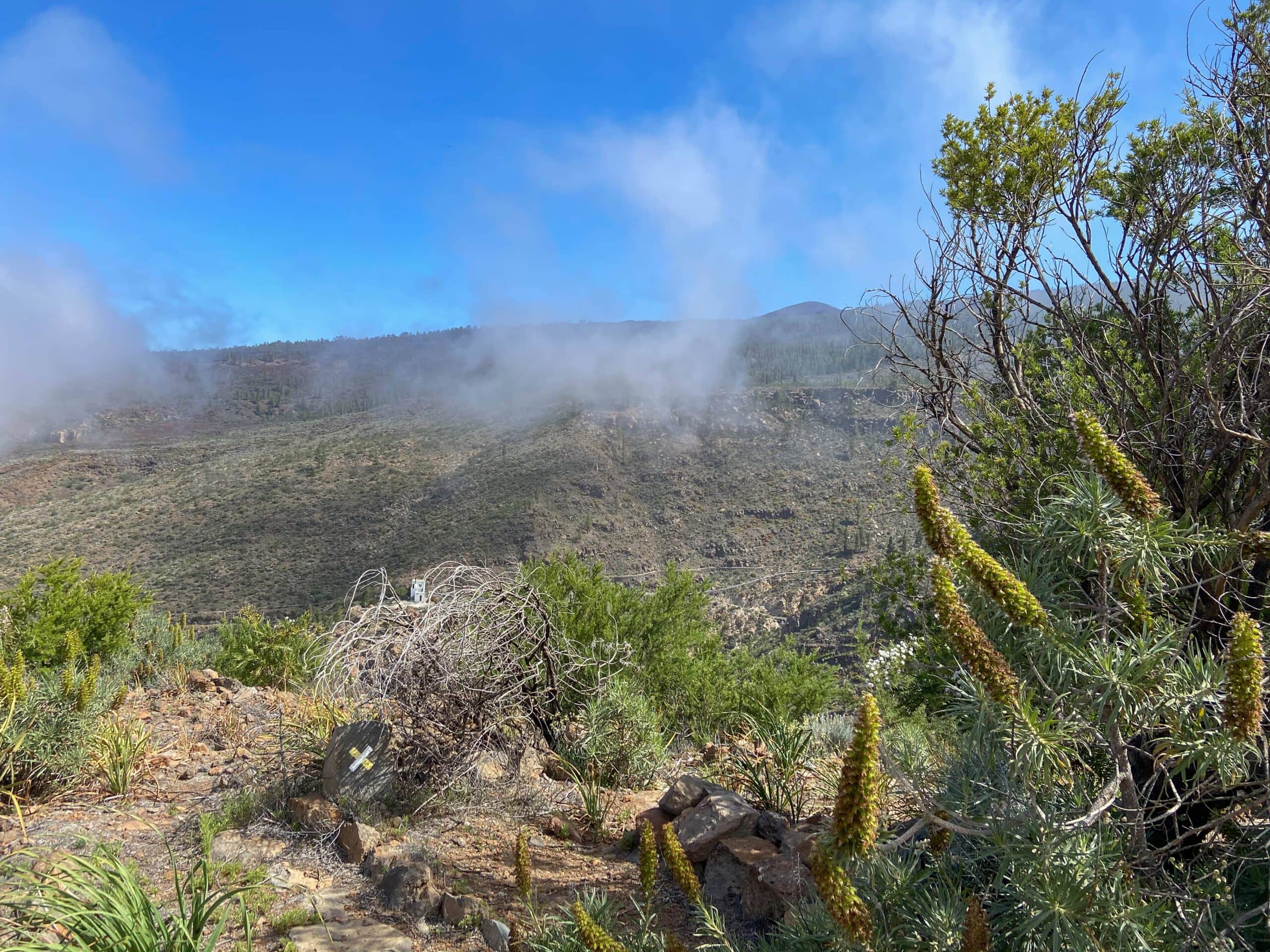 Vista desde el camino de la cresta hacia los barrancos de la derecha (Barranco de la Corcova) y de la izquierda (Barranco Tamuja).