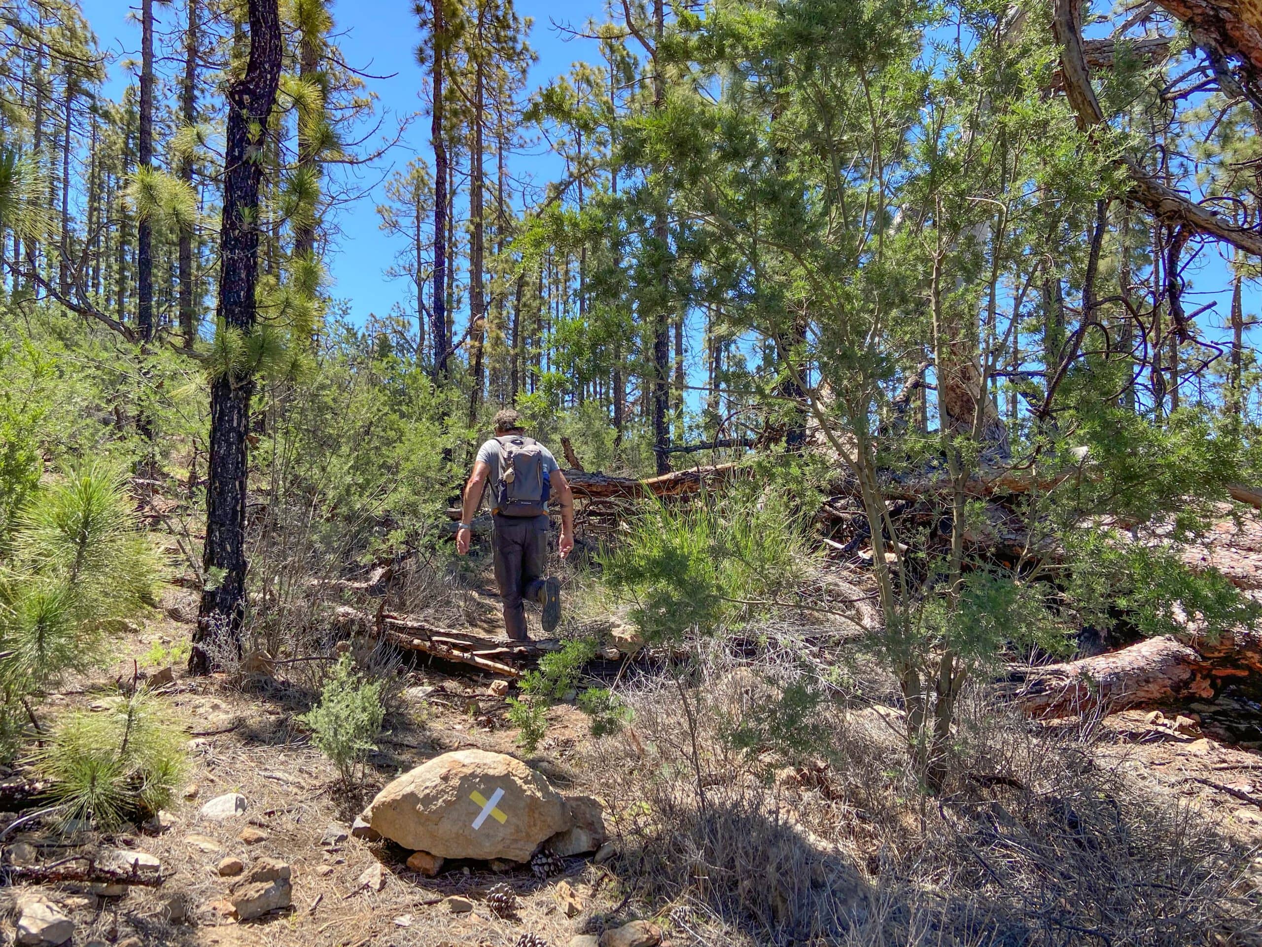 Desviación de la ruta de senderismo hacia el Barranco de Tagara