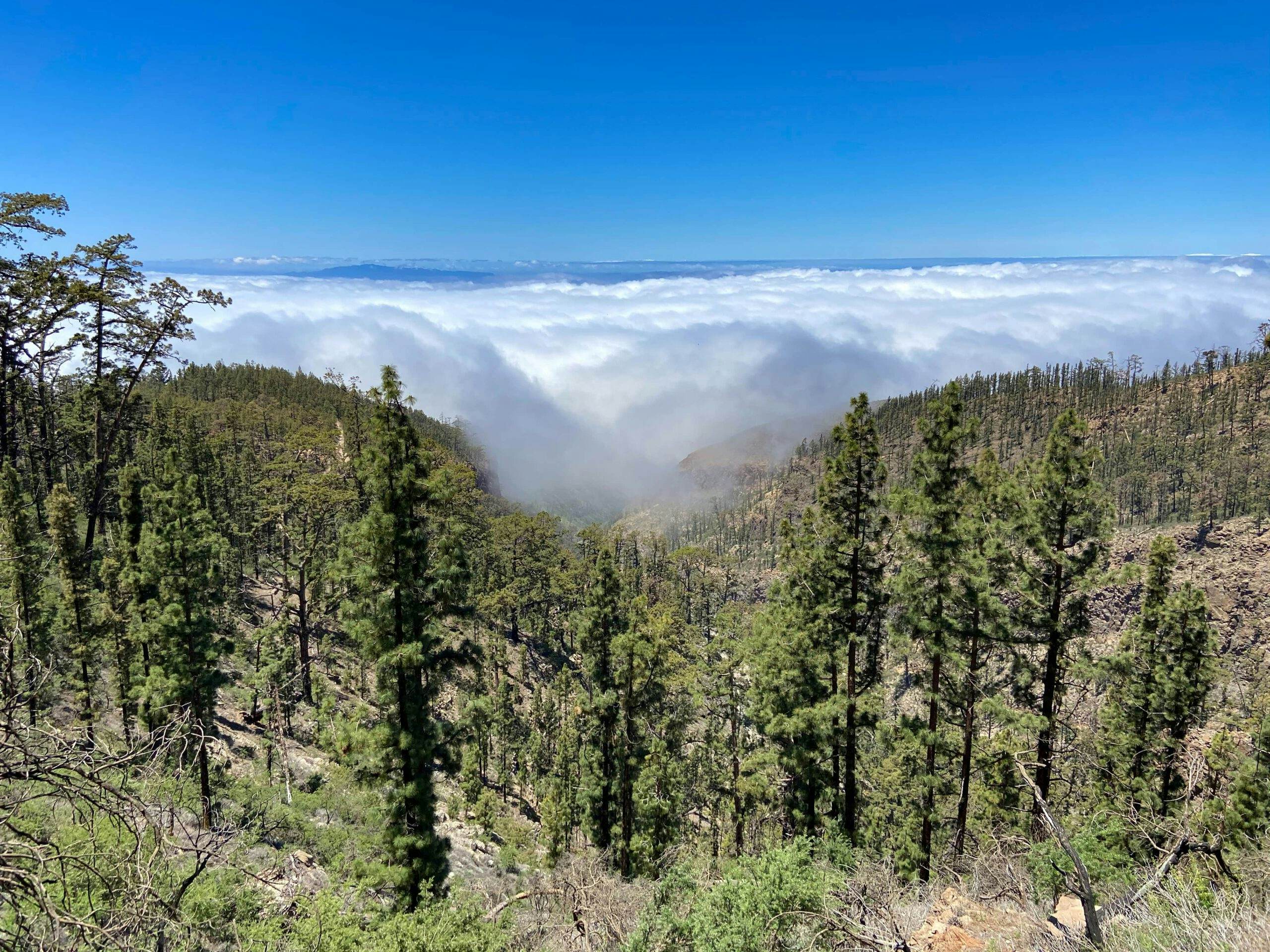 Blick aus der Höhe über die Wolken auf die Nachbarinseln La Gomera und La Palma