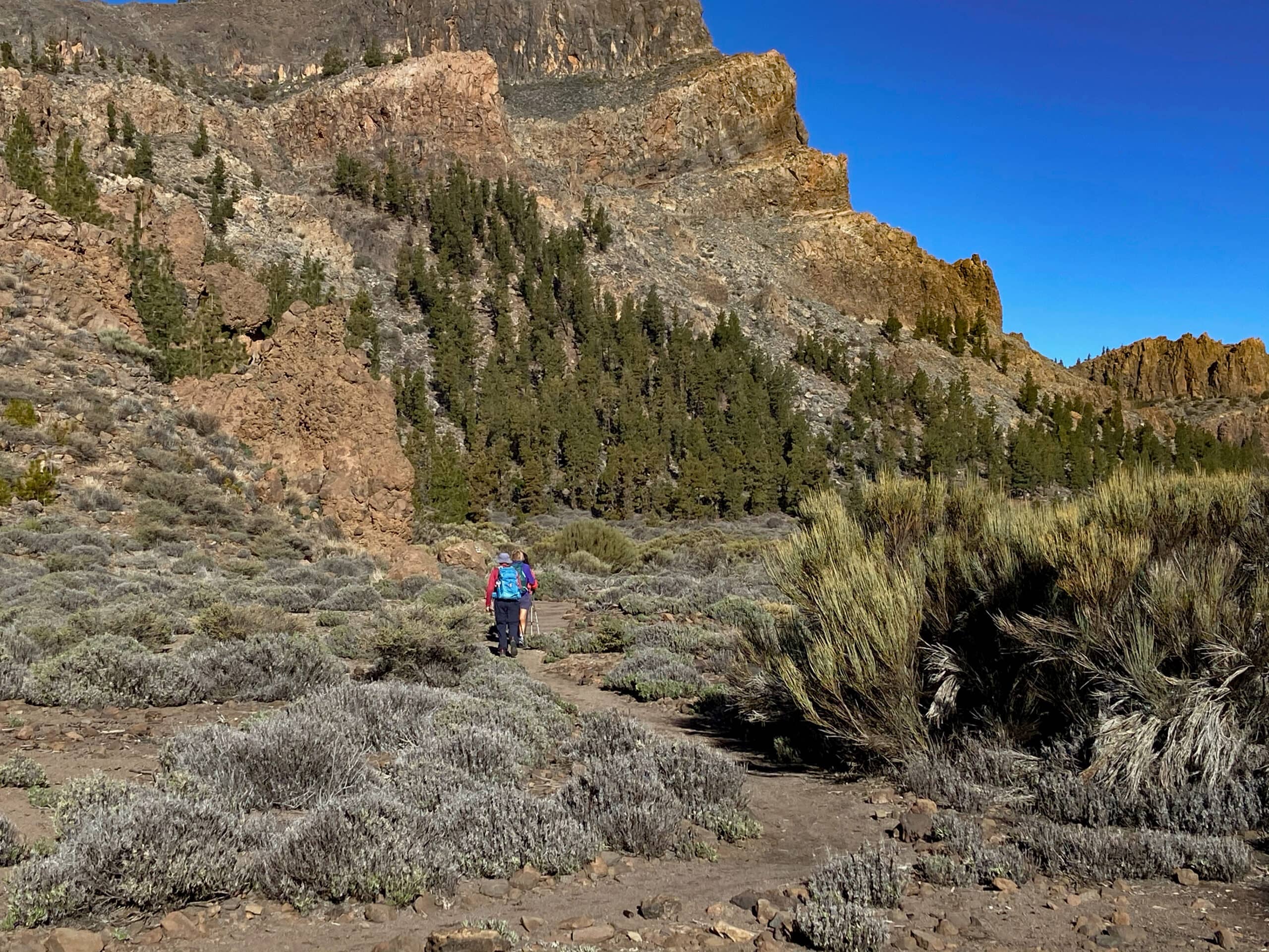 Ruta de senderismo en el parque nacional frente a la Montaña El Cedro