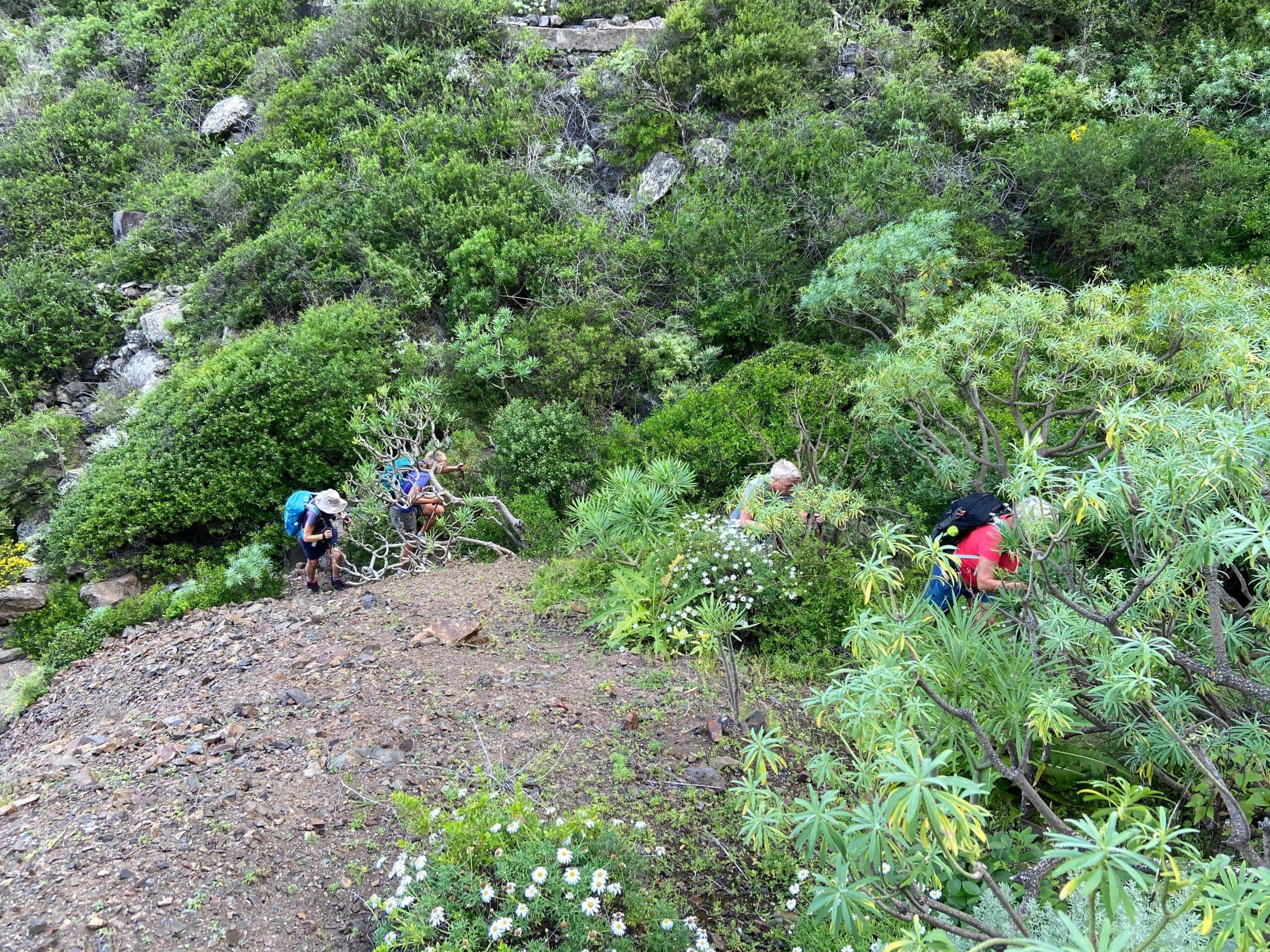 Caminata por caminos empinados e intransitables - ascenso a Teno Alto