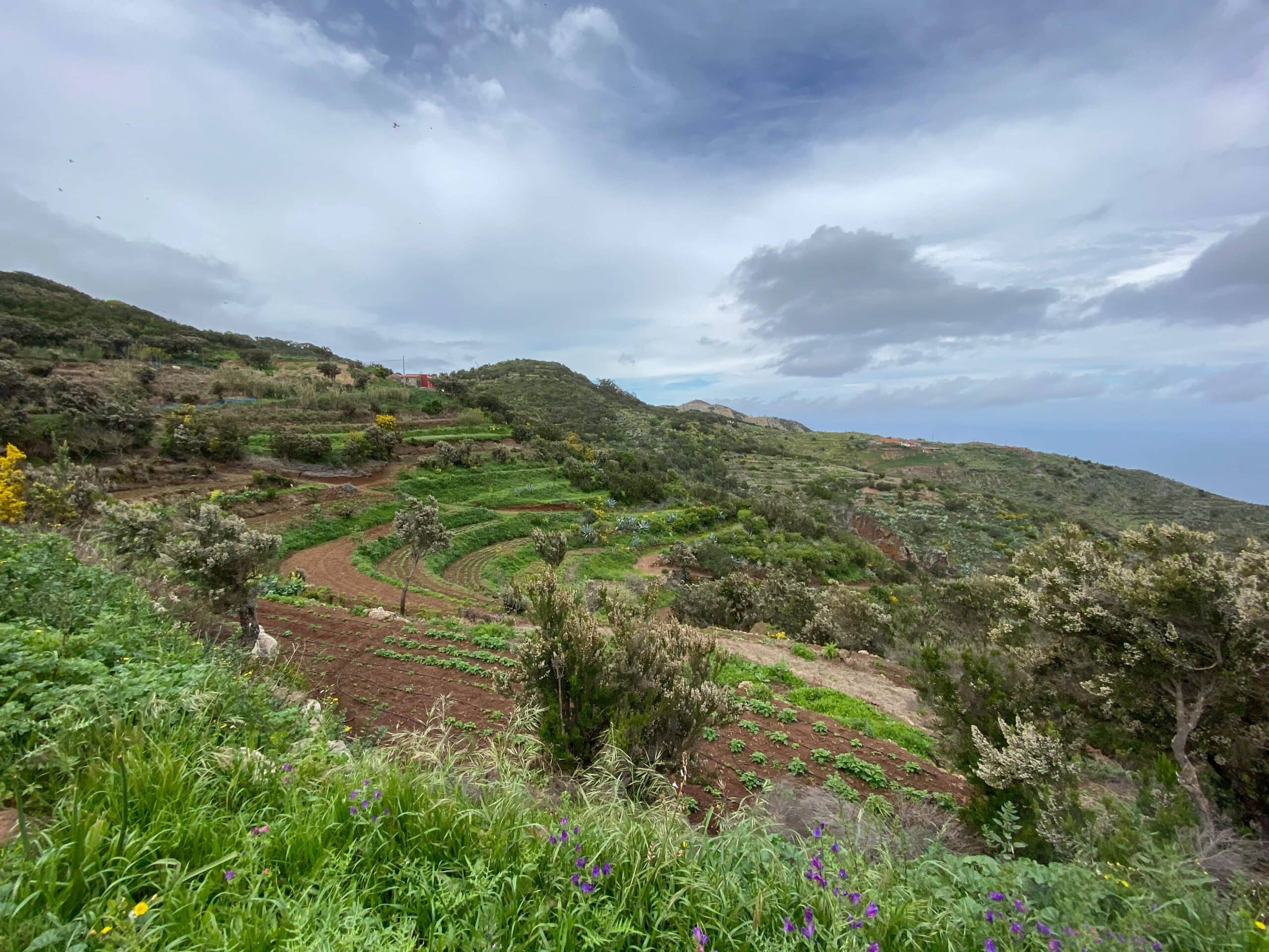 Vista de los campos y terrazas cerca de Teno Alto