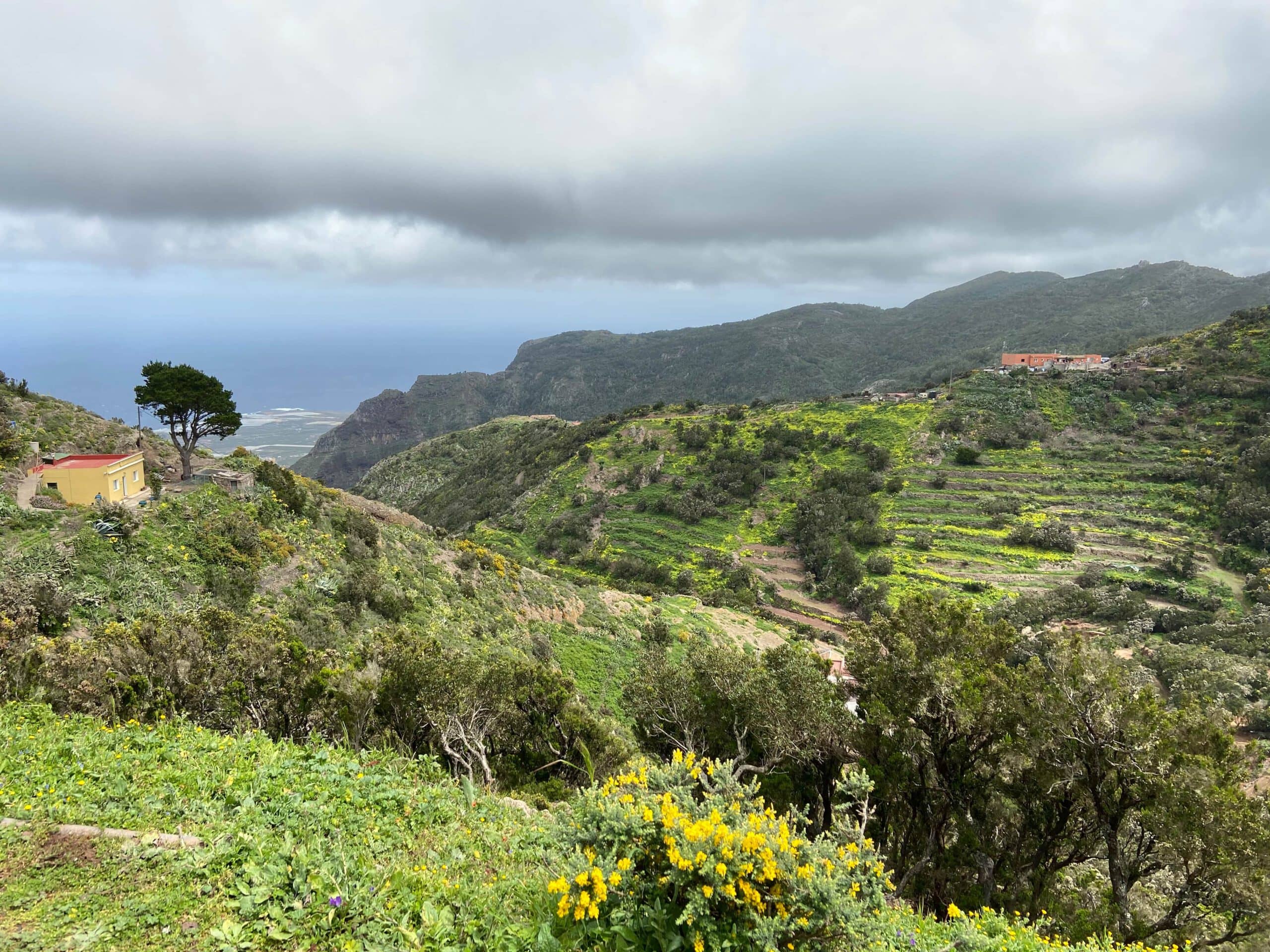 View from the heights near Teno Alto