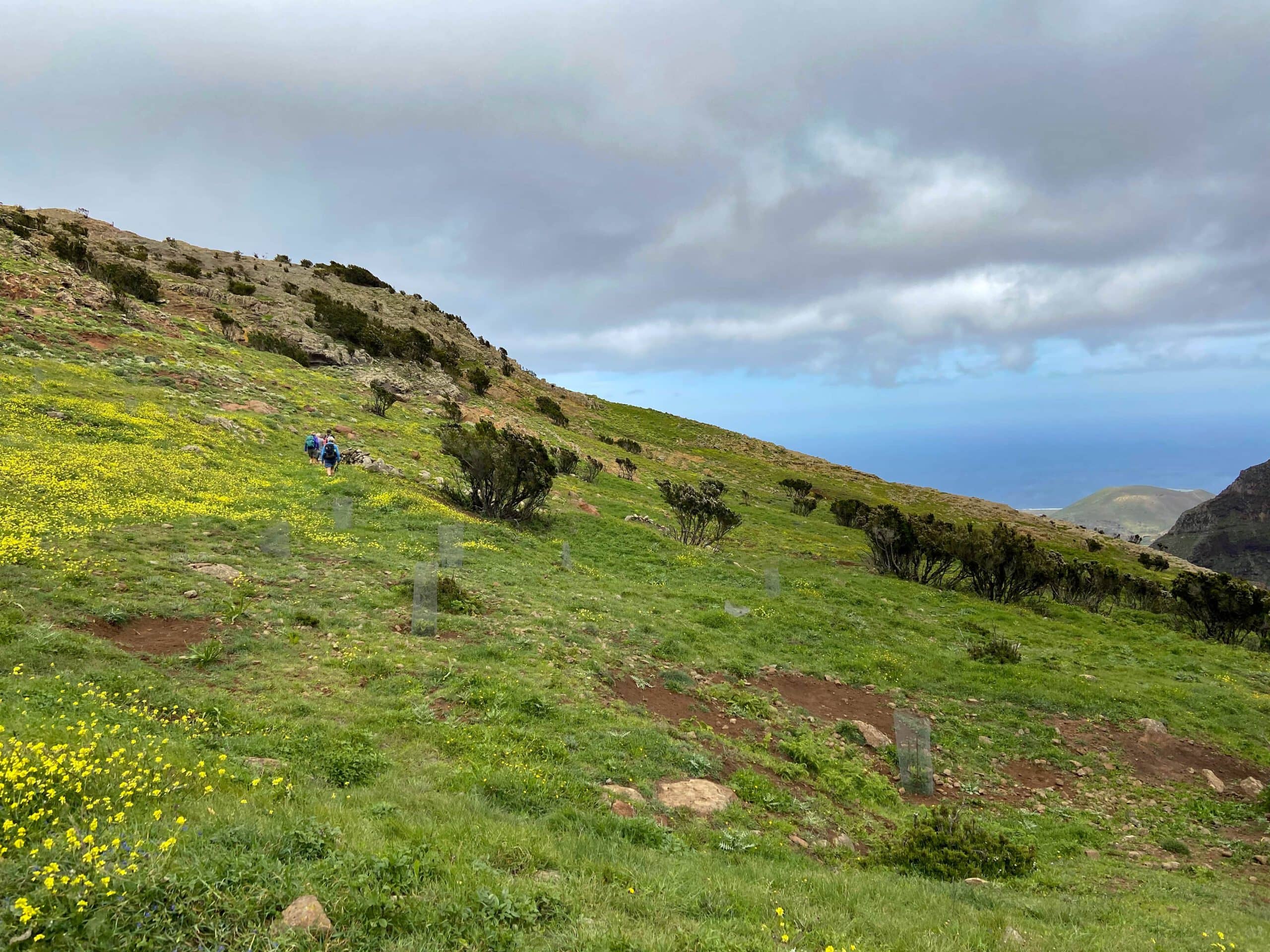 Green meadows around Teno Alto