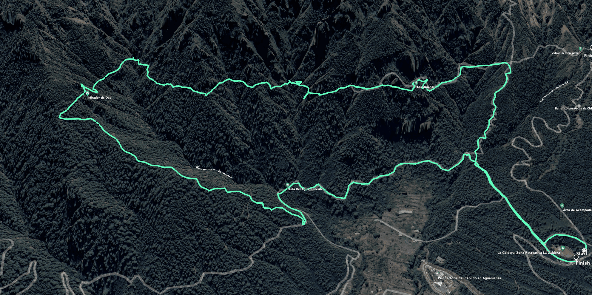 Pista del Camino Alto de los Órganos