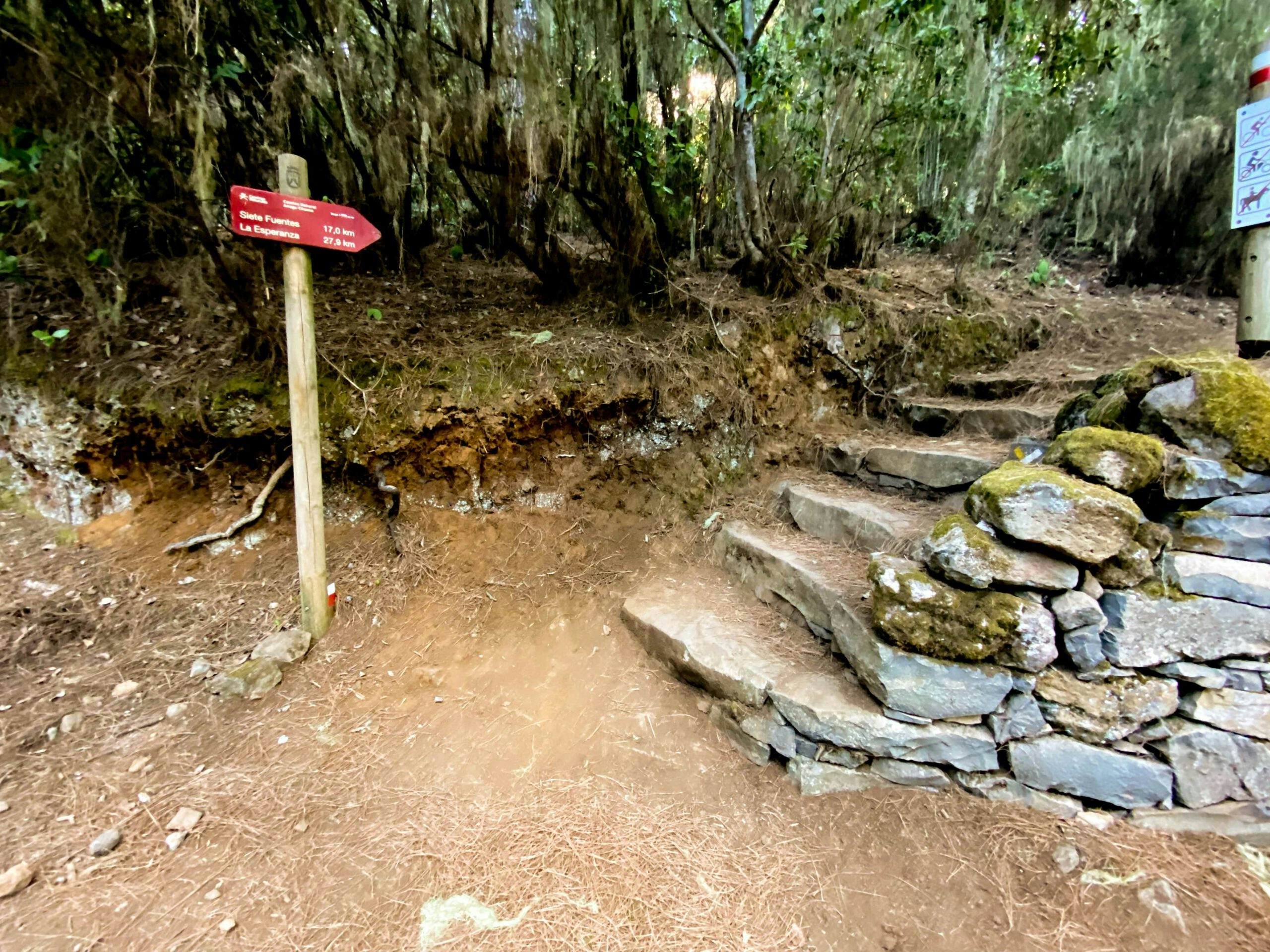 Hiking trail with many steps