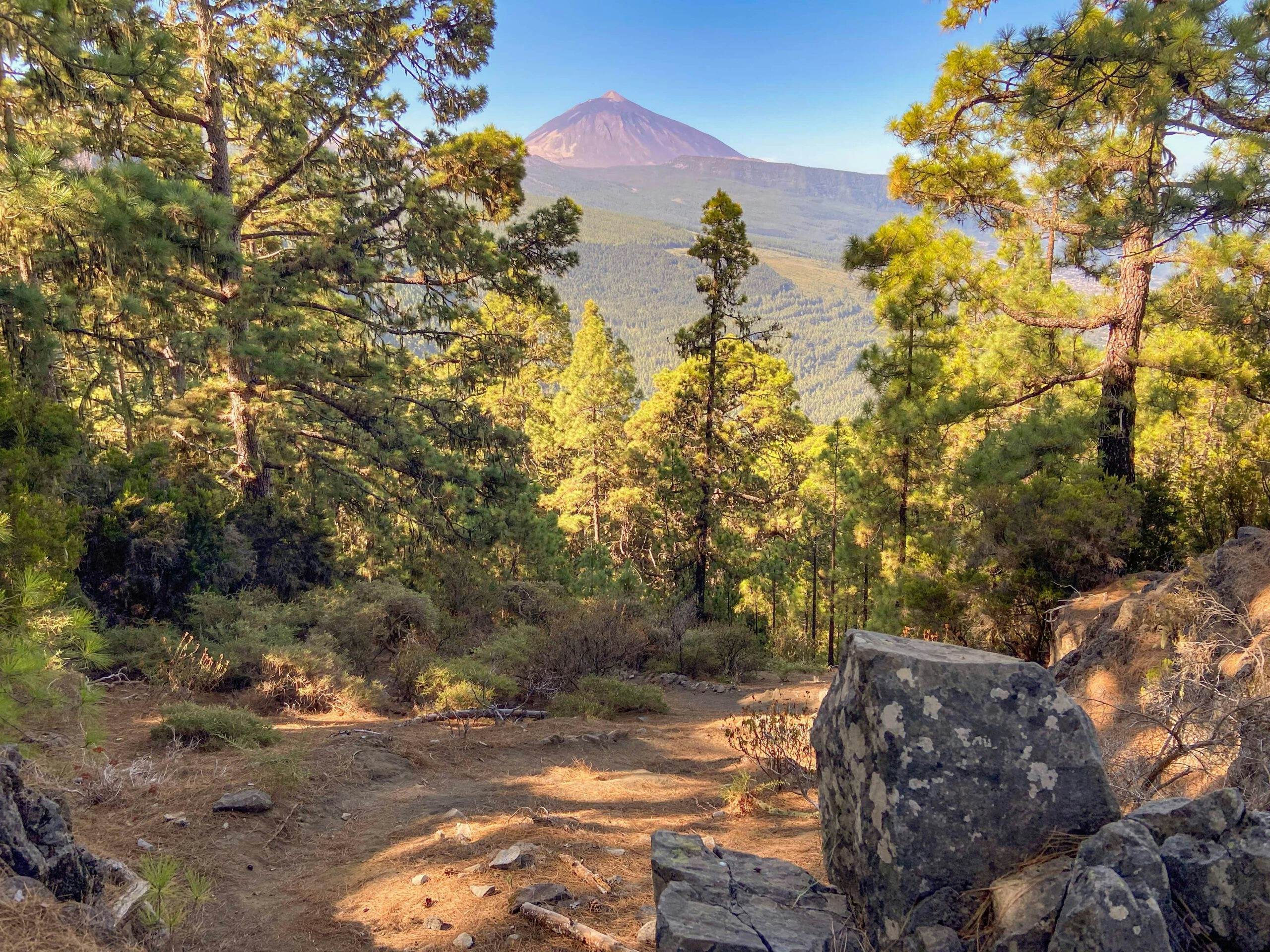 View from the hiking trail to the Teide