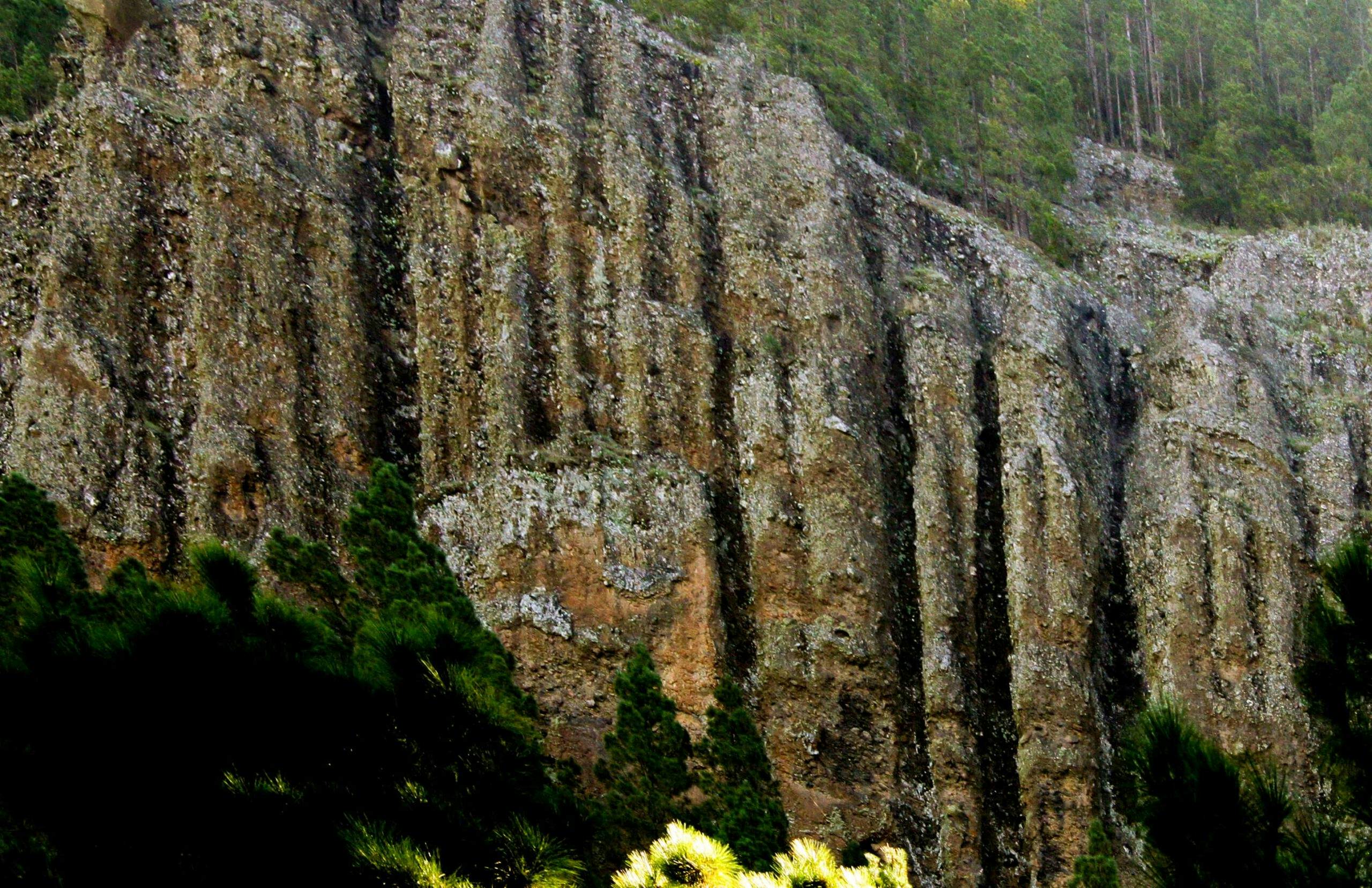 the organ pipes after which the Organos high trail is named