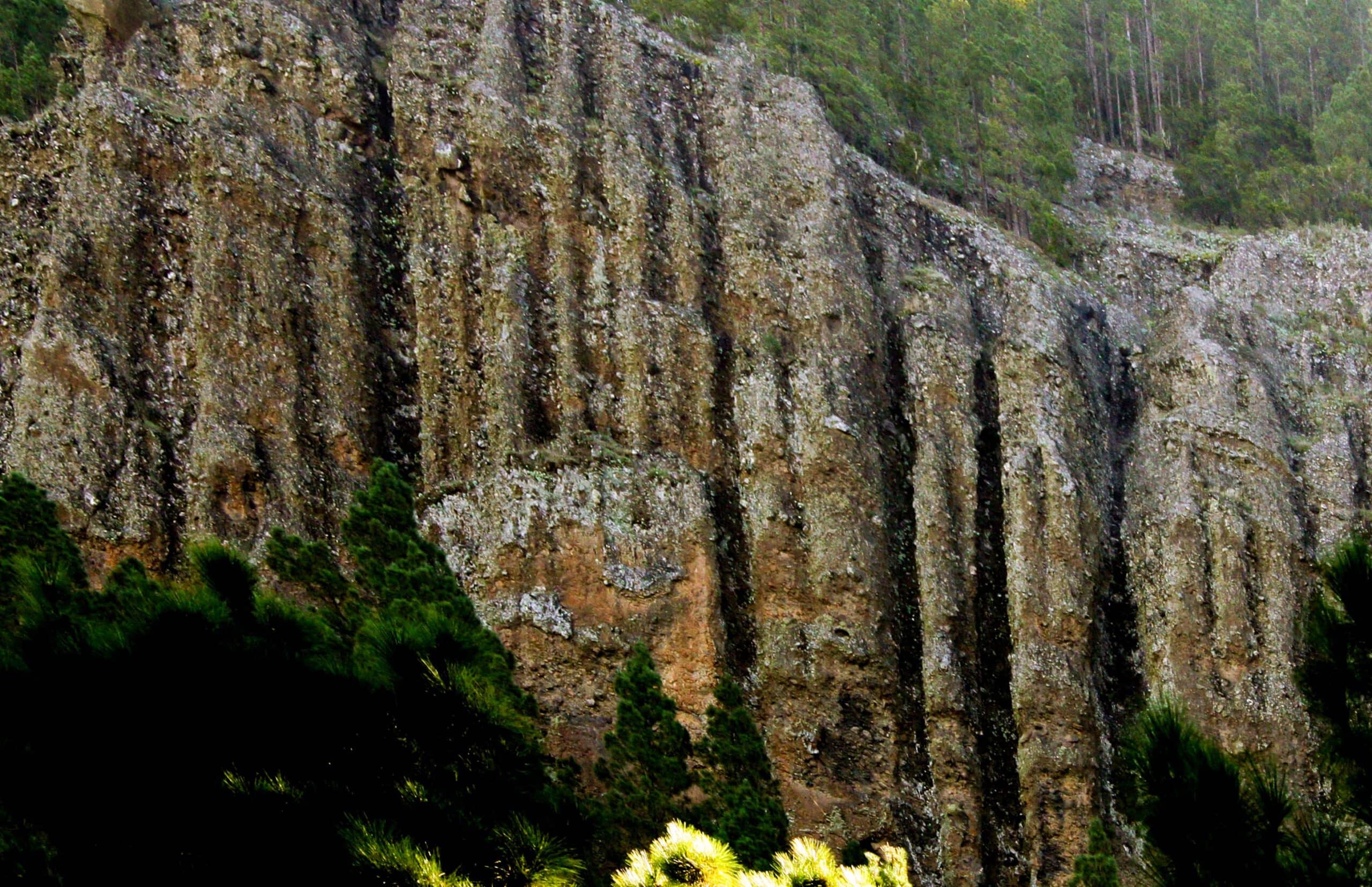 the organ pipes after which the Organos high trail is named