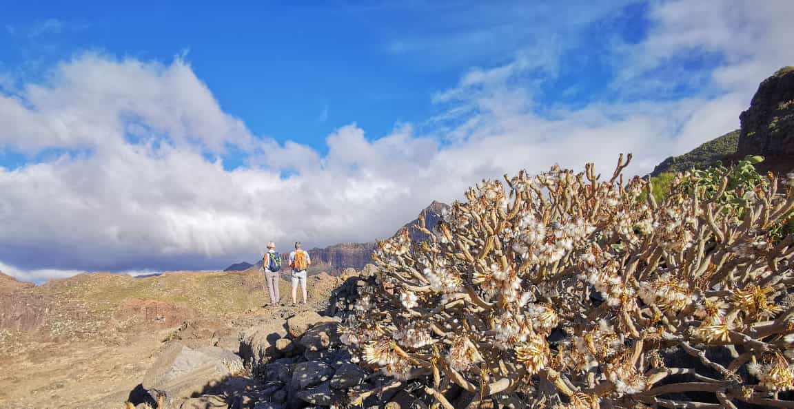 Wanderer auf dem Weg zum Risco Blanco