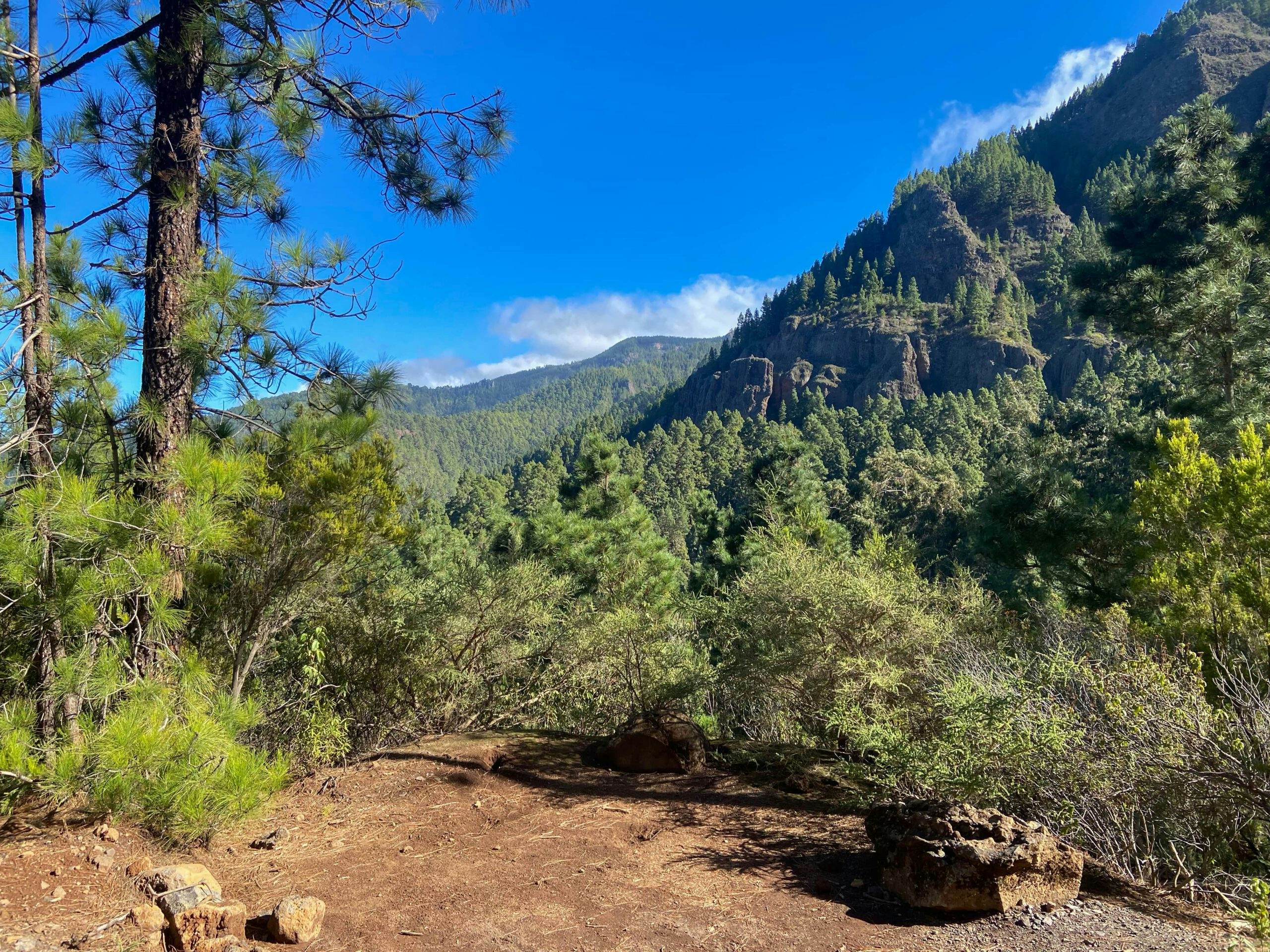 Orotava Valley - Hiking trail below the Órganos rocks