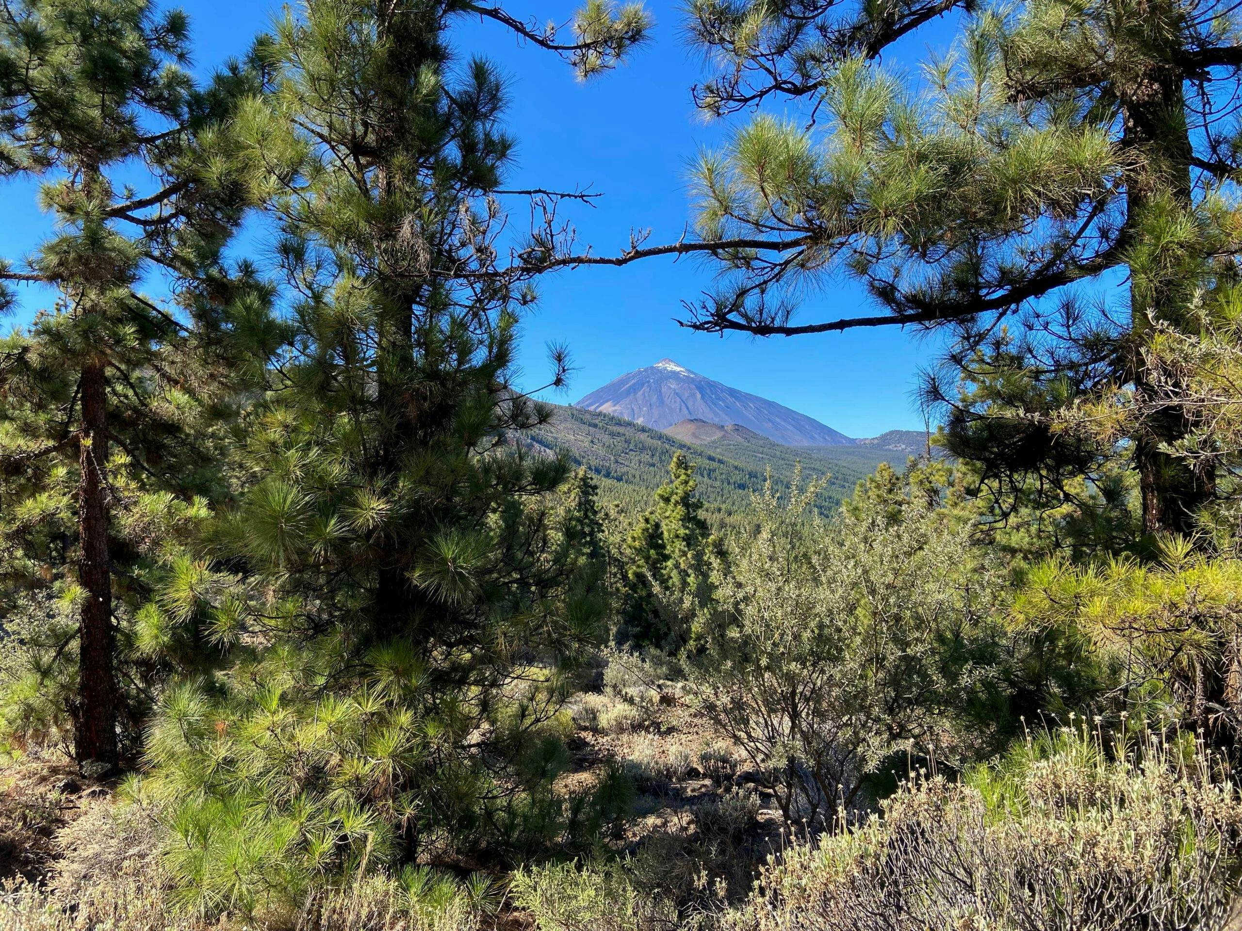Vista del Teide desde el camino de subida
