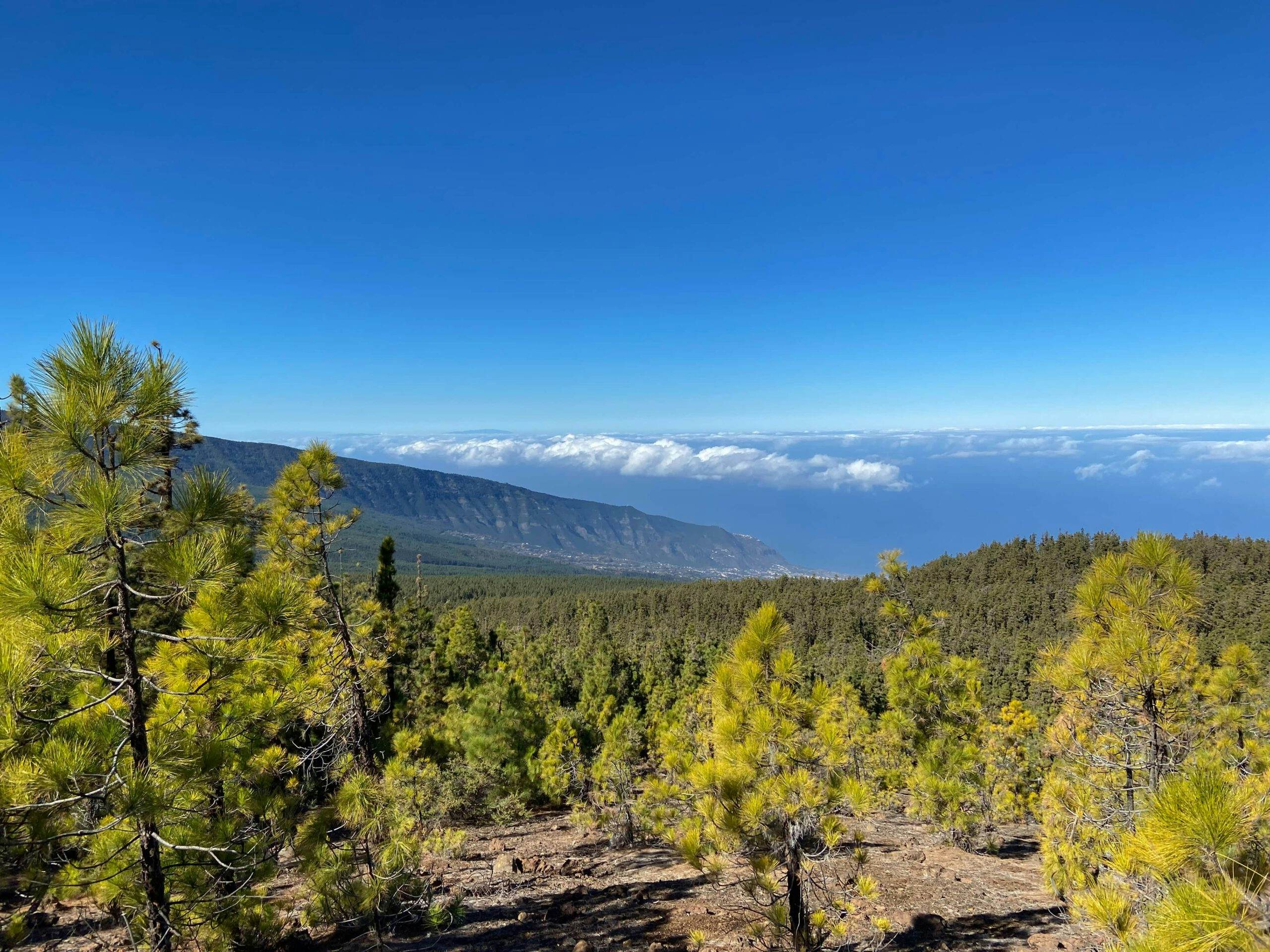 Vista del valle de la Orotava desde el sendero de ascenso a Montaña Limón