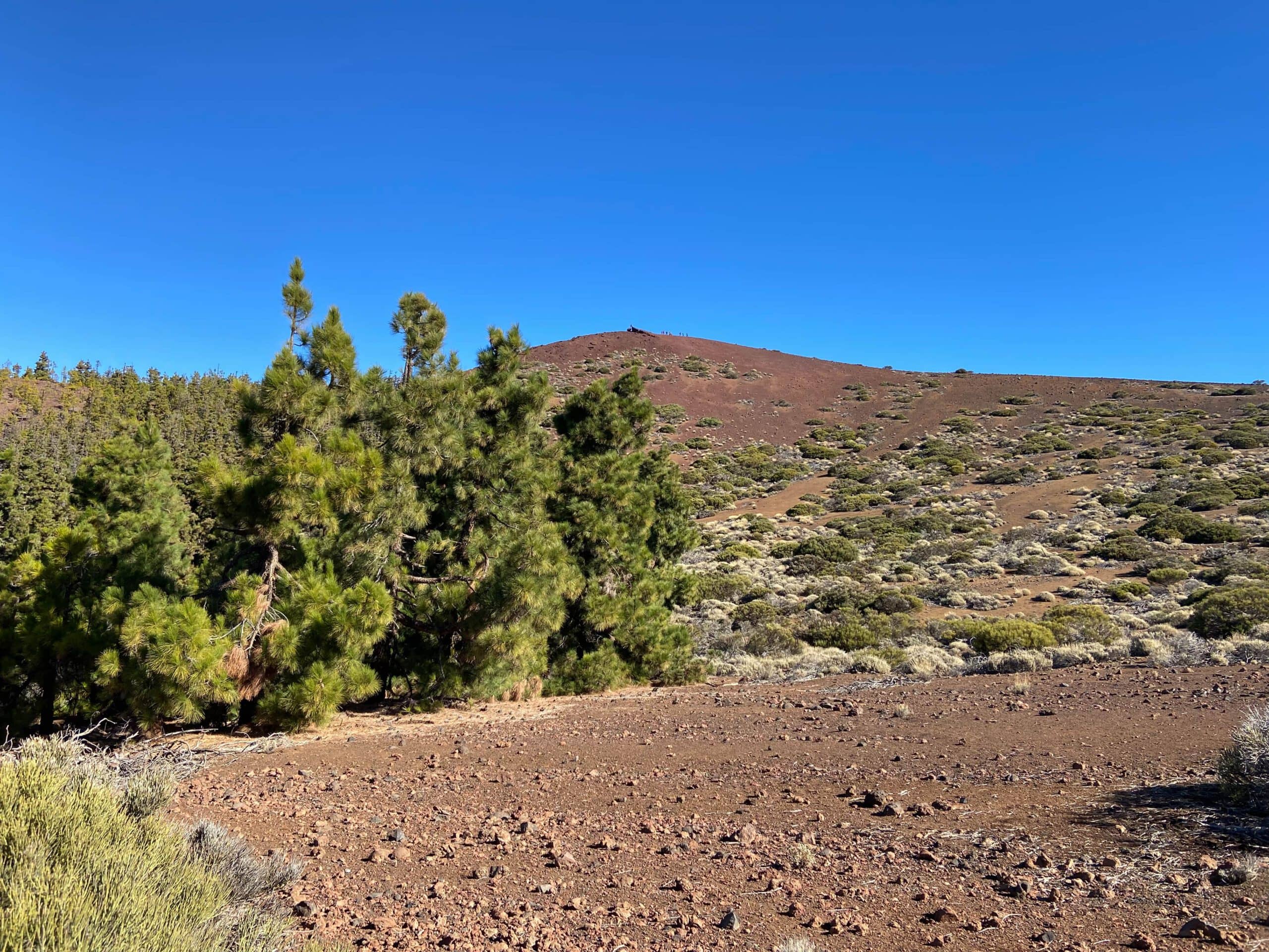 Blick vom Aufstiegsweg auf die Montaña Limón