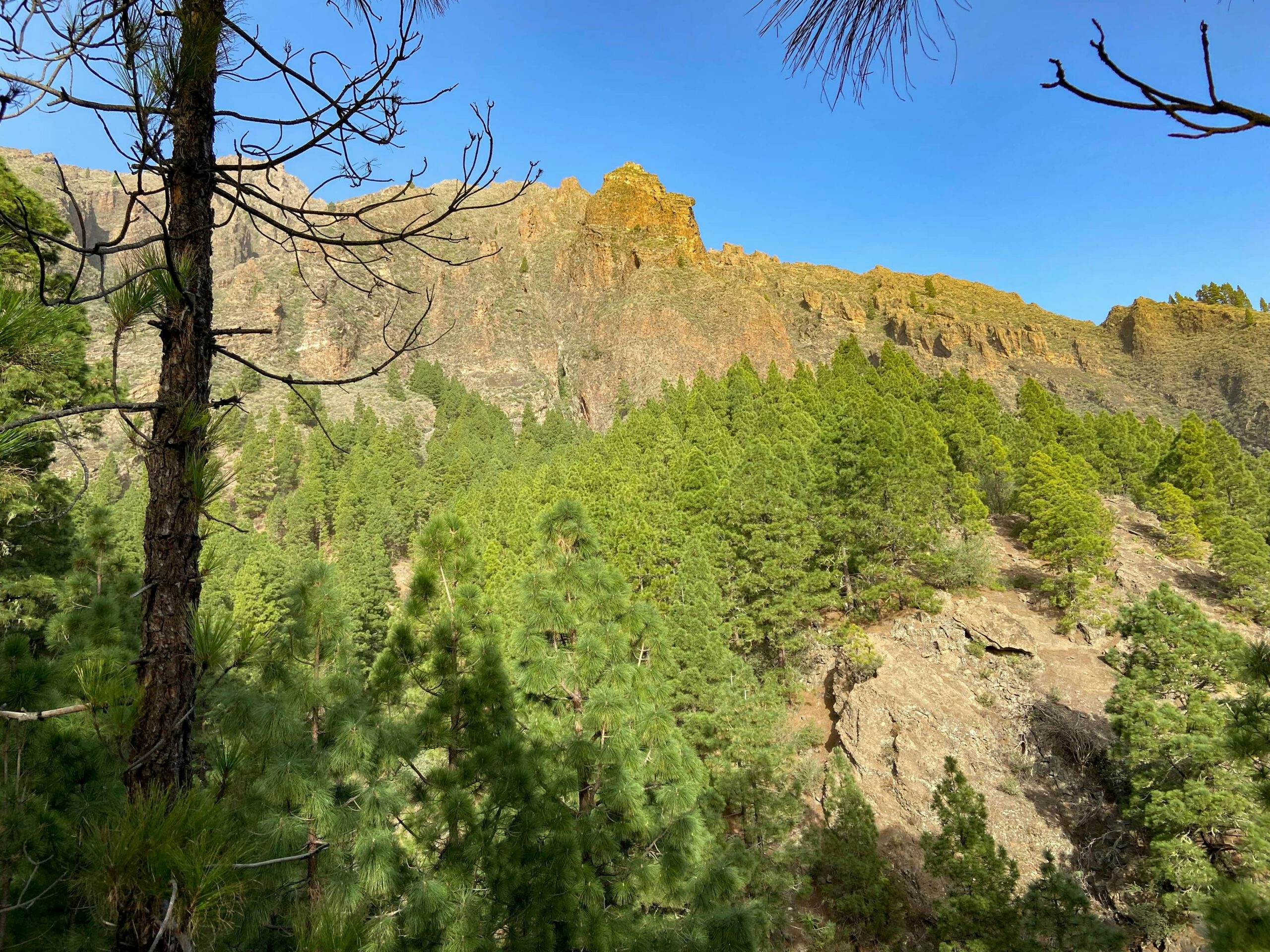 Vista del macizo rocoso que rodea el Pico Cho Marcial desde el sendero de ascenso