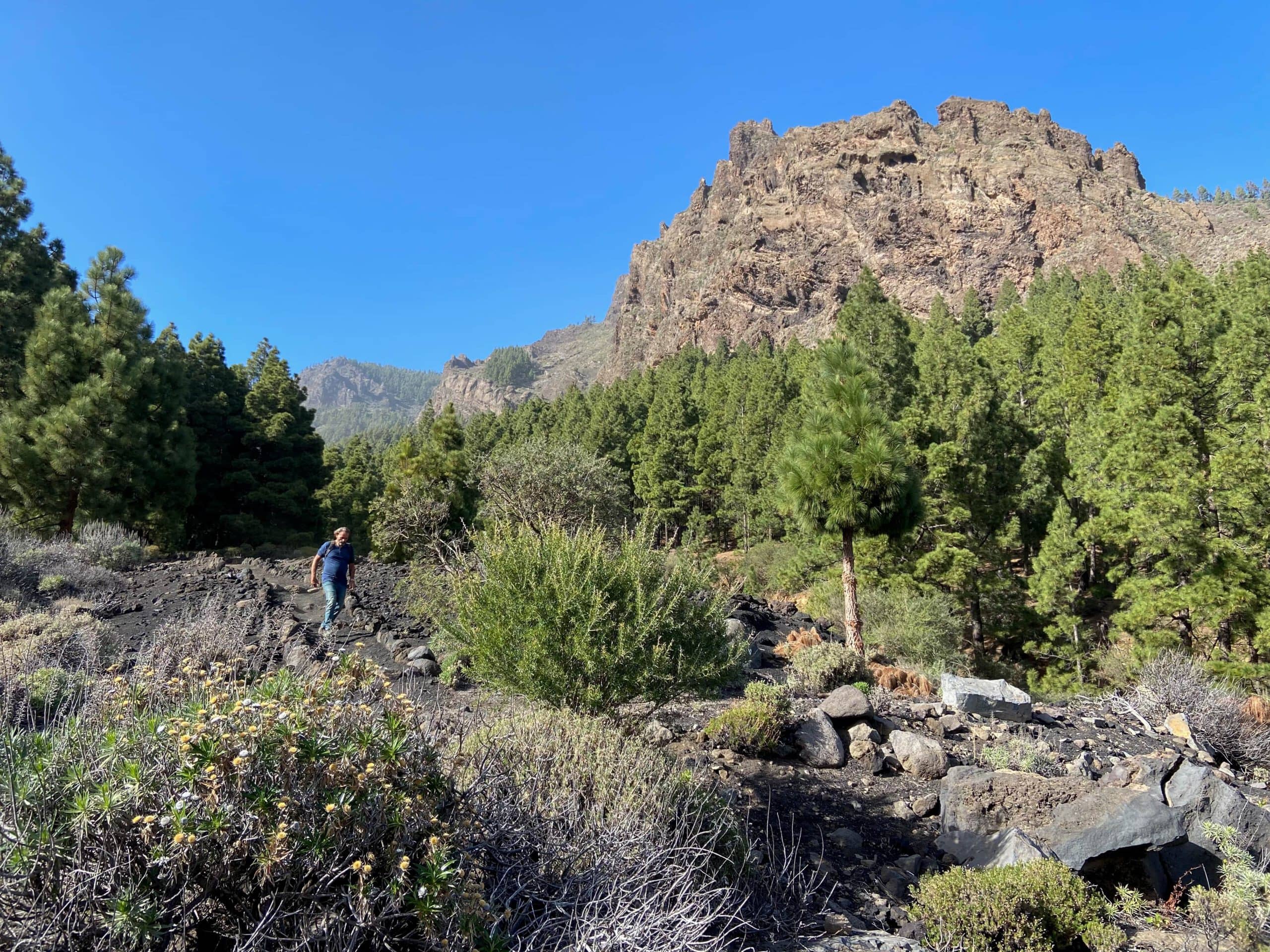 Camino de descenso hacia Güimar