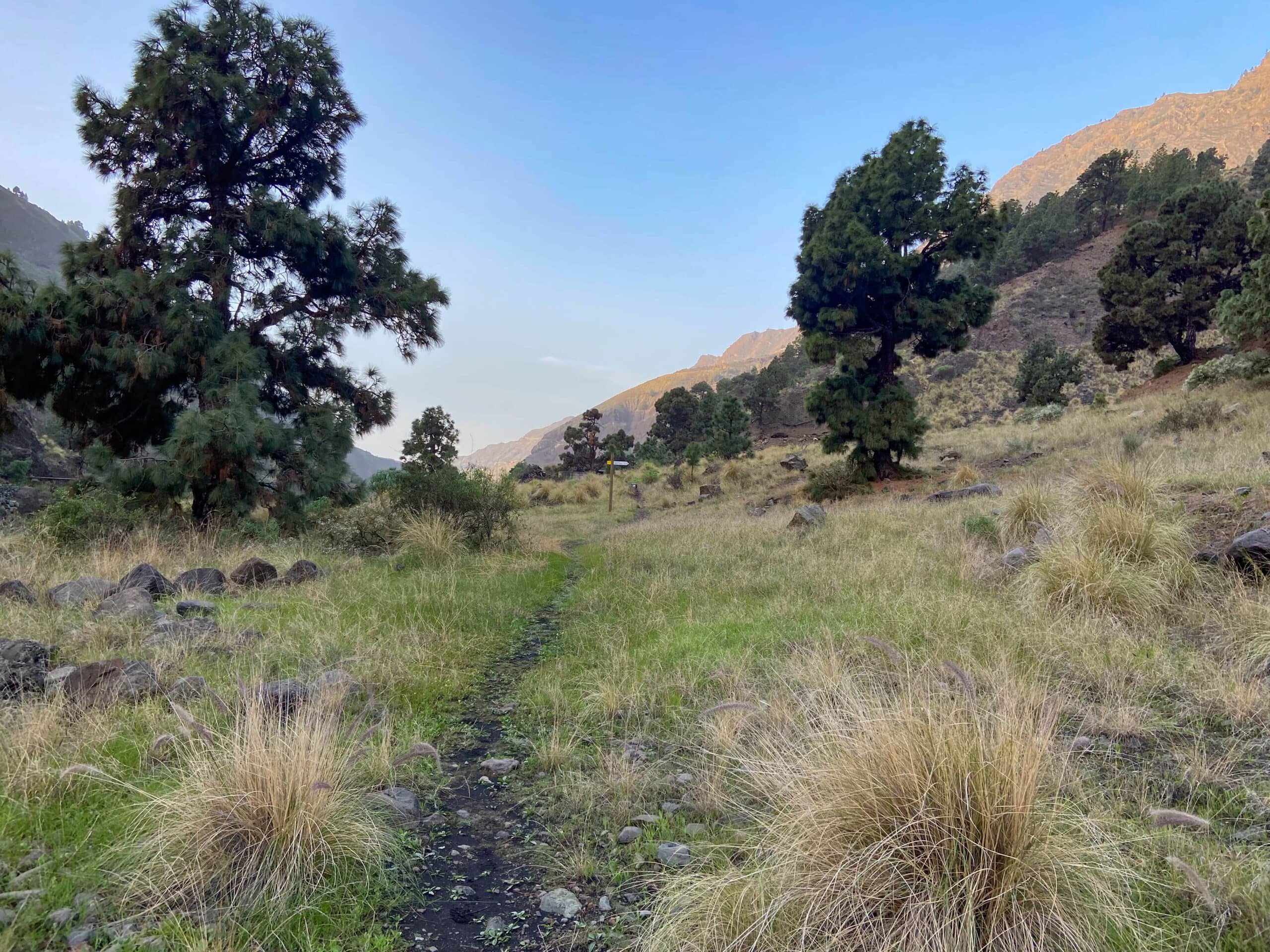 Wanderweg am Barranco Angustias in die Höhe Richtung Mirador de Los Brecitos (hier Rückweg)