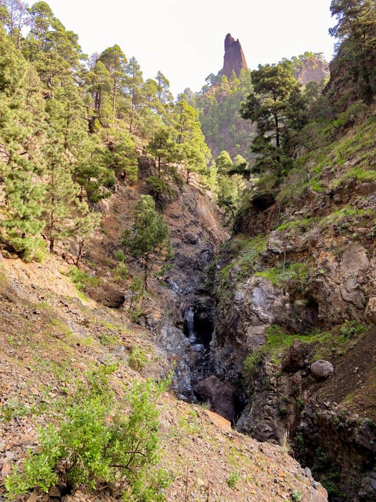 Vista desde el sendero de ascenso Caldera de Taburiente al Barranco Río Almendra Amargo