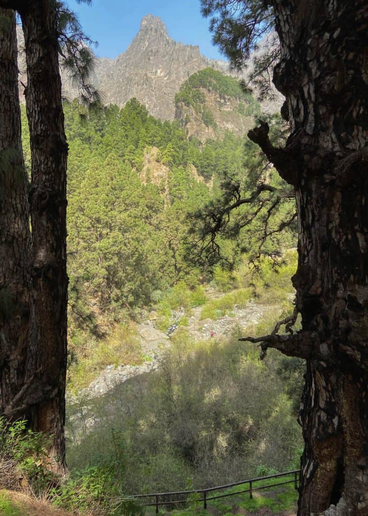 Zona de Acampada - Vista de la Playa Taburiente y el arroyo