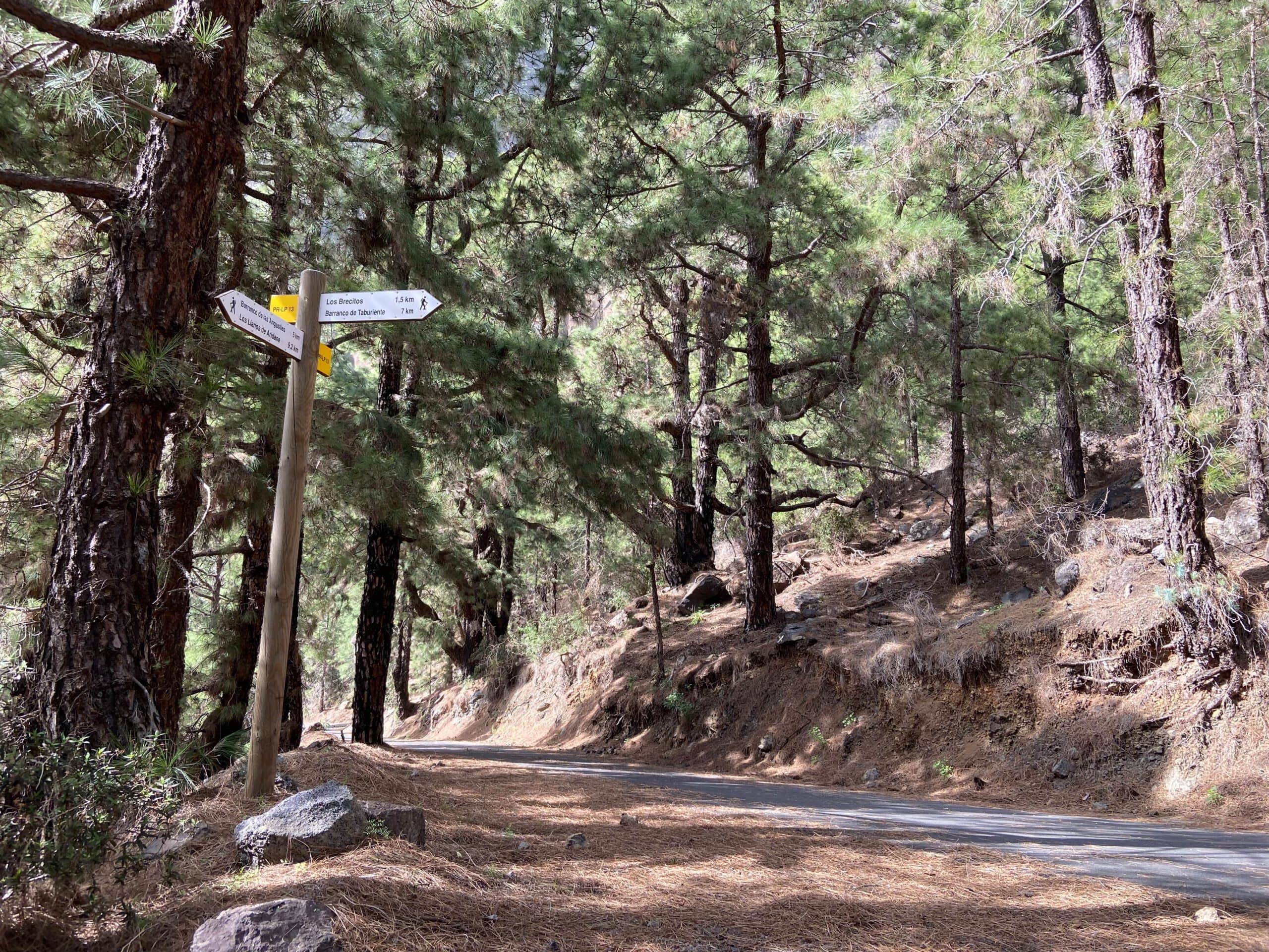 Rückweg - Straße und Wanderweg 1,5 Kilometer hinter Mirador Los Brecitos