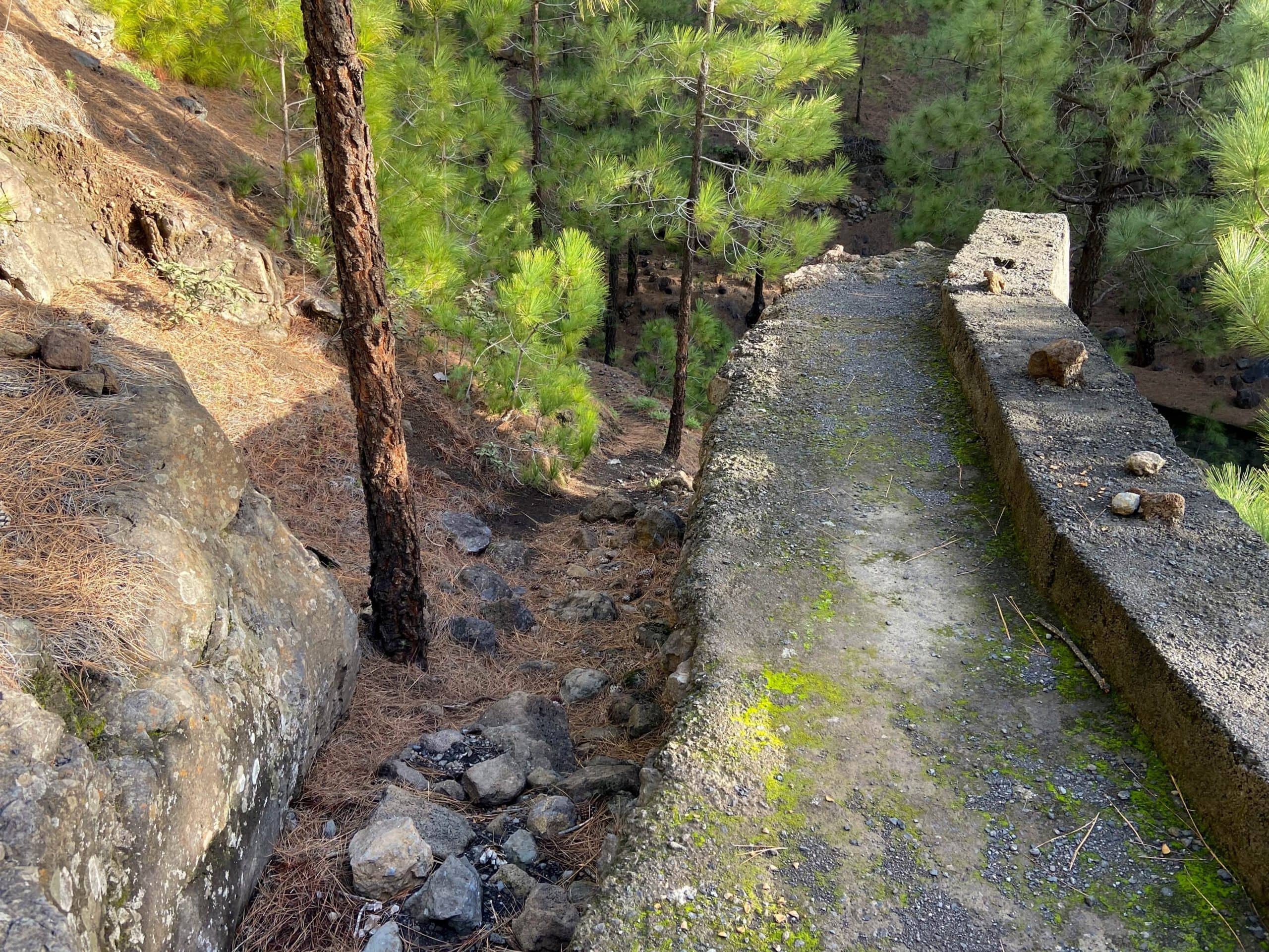 Muro en el bosque al final de la travesía Pista de Valencia - Barranco