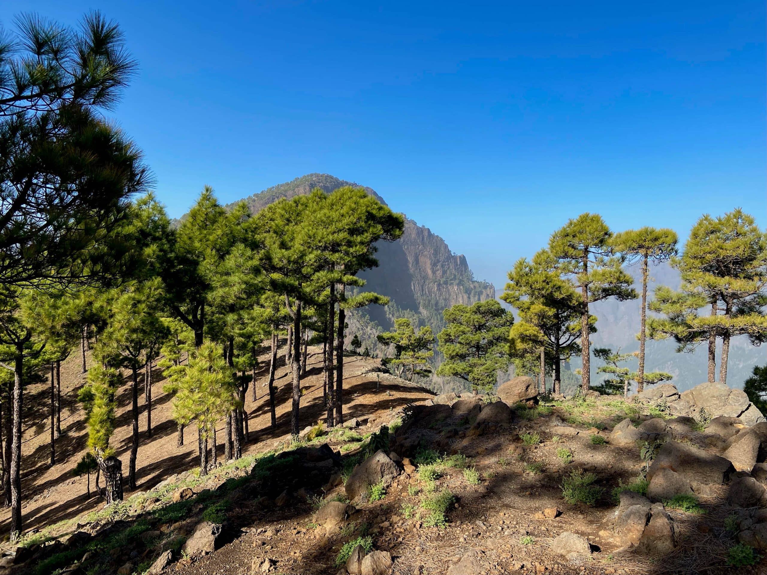 Caminata por la cresta de la Cumbre hasta el Pico Bejenado