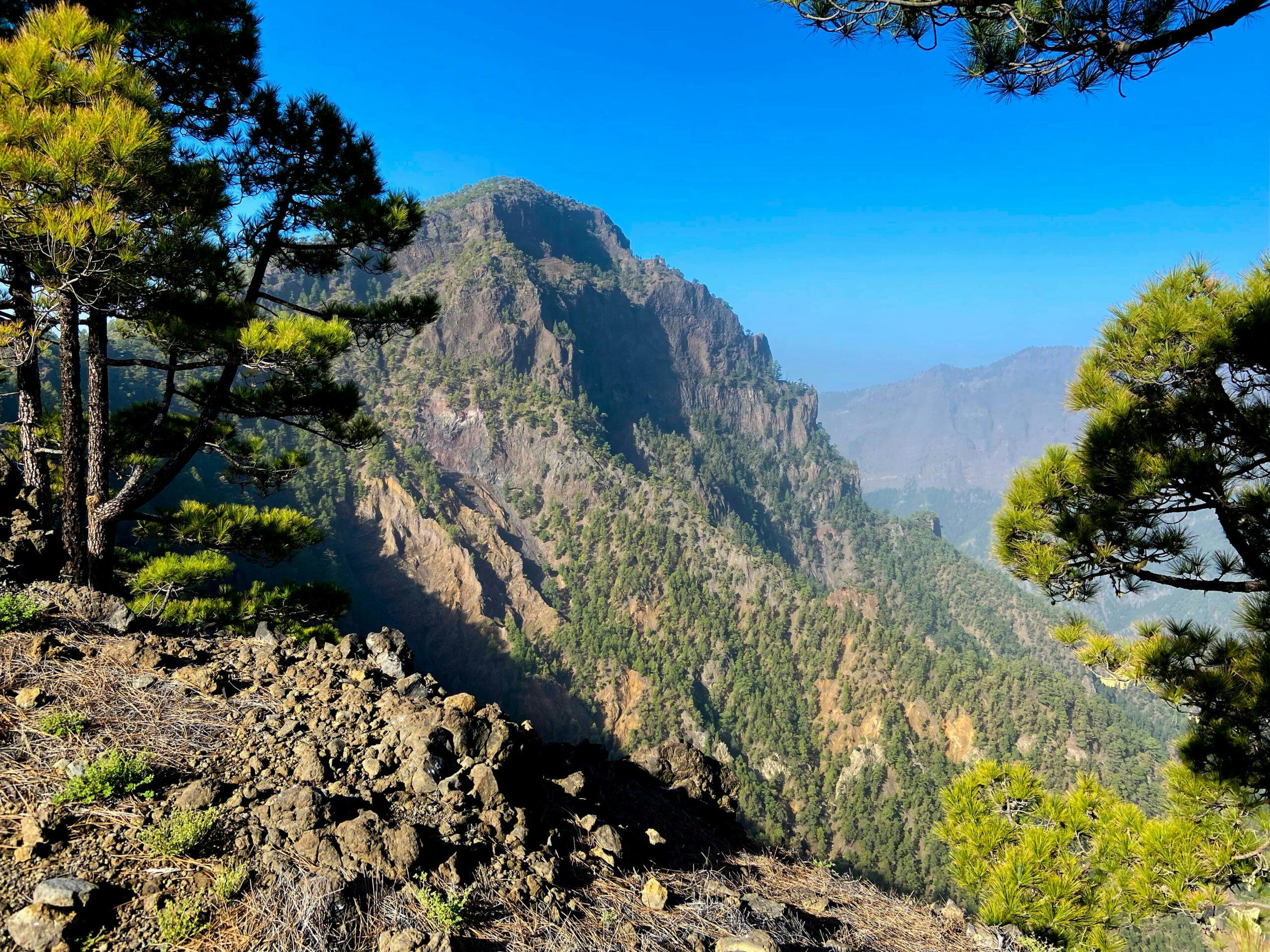Pico Bejenado – Hike to the green peak of La Palma